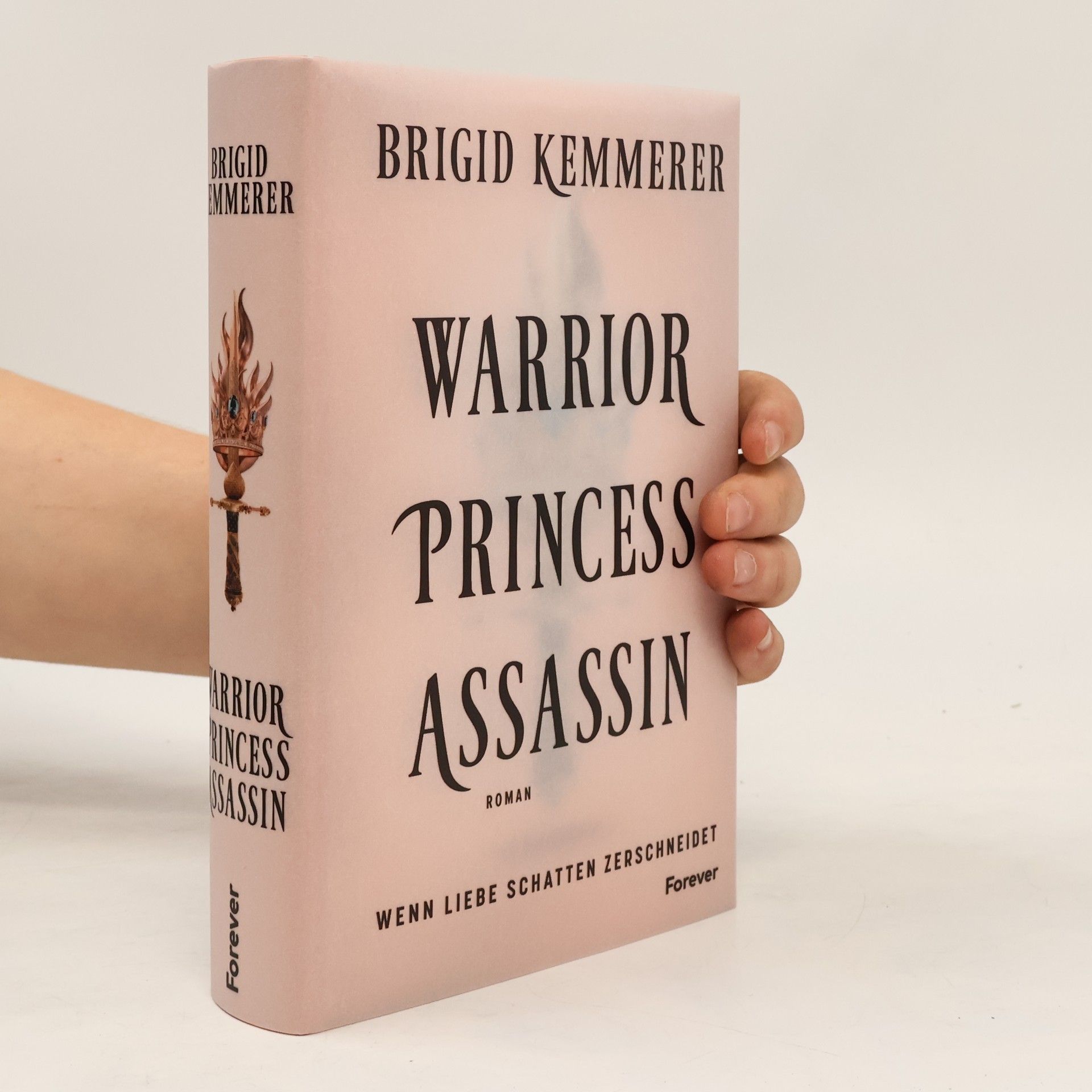 Brigid Kemmerer The Assassin and the Princess - 1: Warrior Princess Assassin
