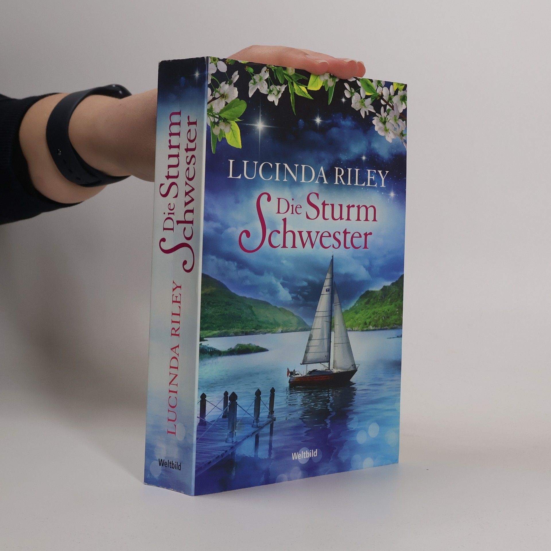 Lucinda Riley Die Sturm Schwester