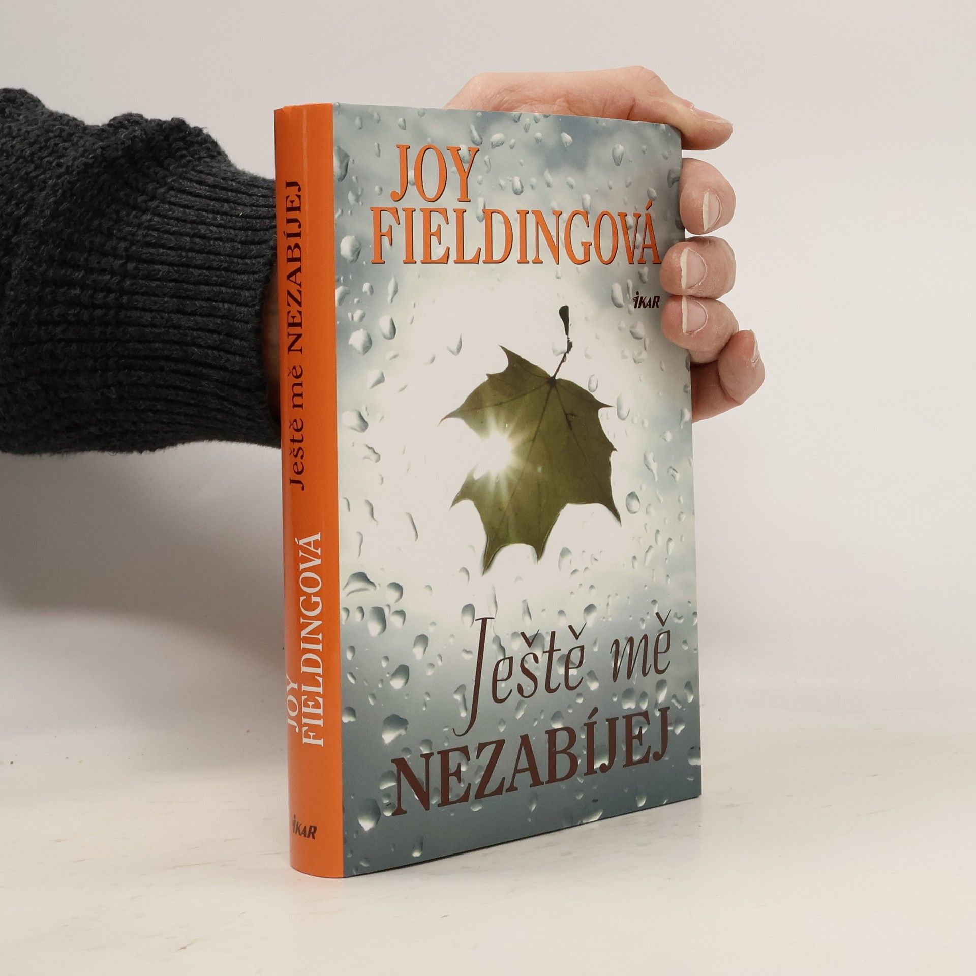 Joy Fielding Ještě mě nezabíjej