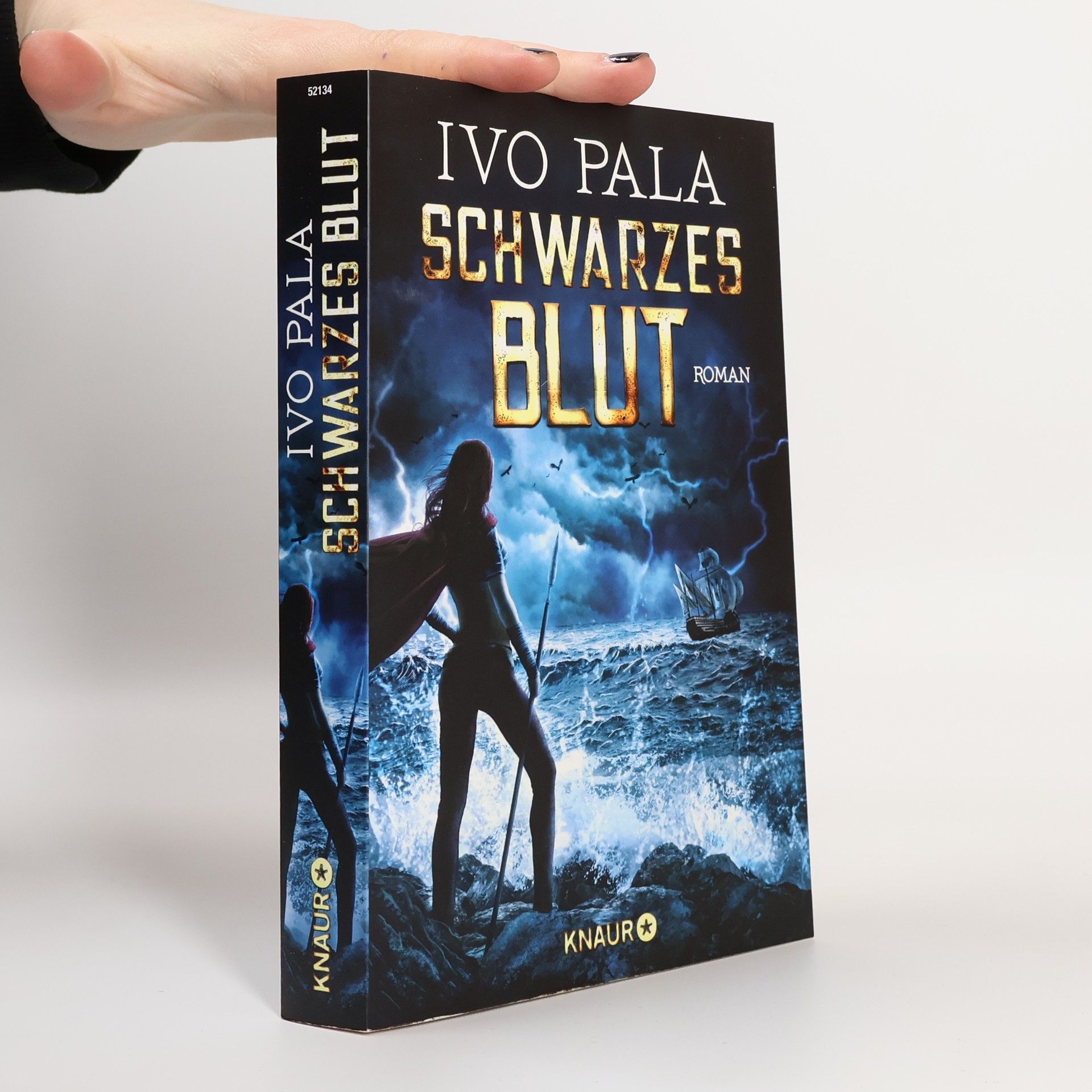 Ivo Pala Schwarzes Blut