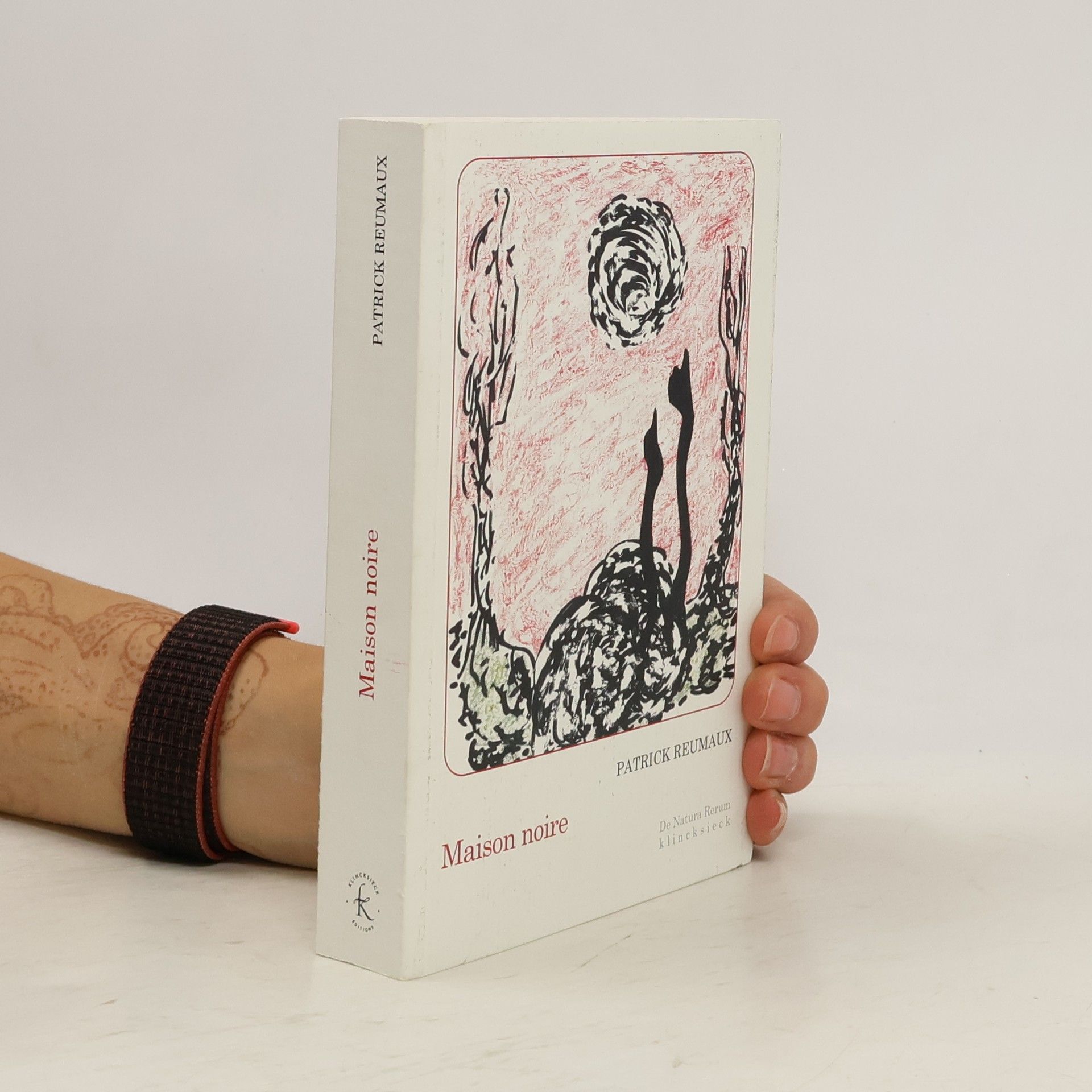 Patrick Reumaux De Natura Rerum: Maison noire