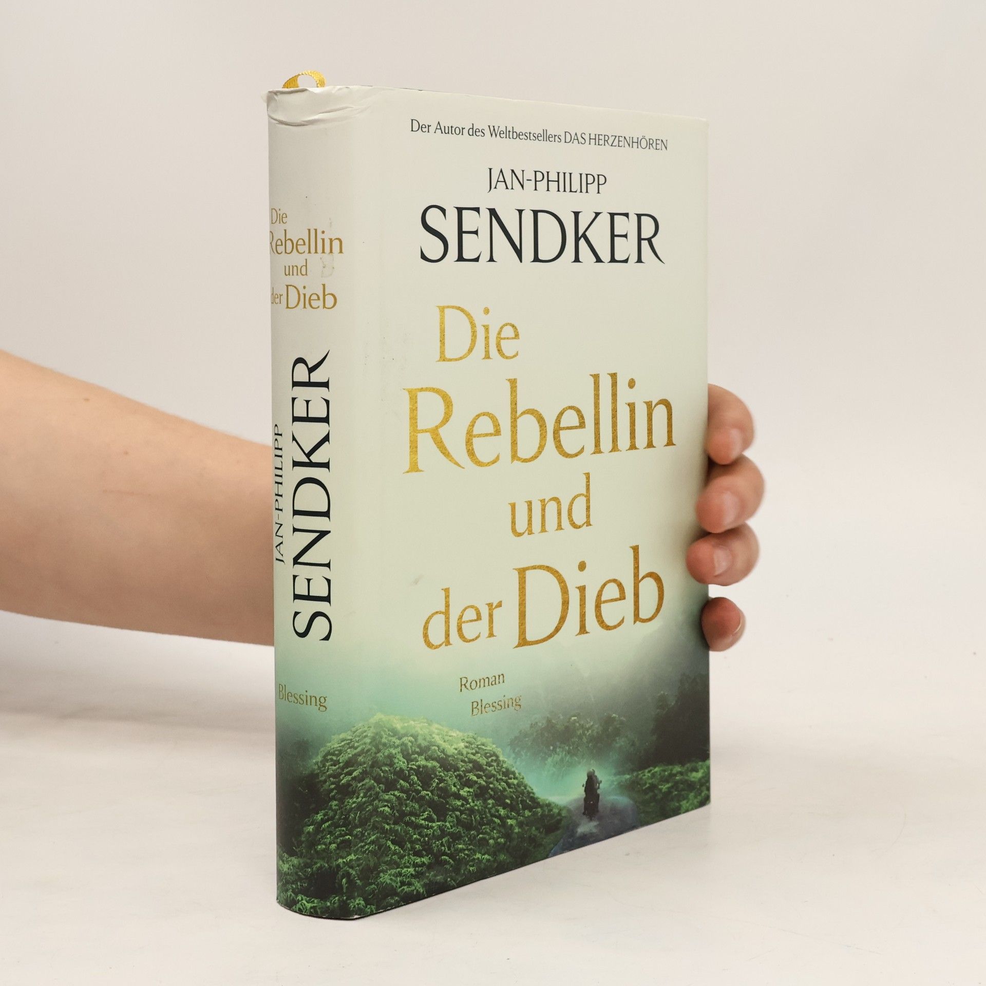 Jan-Philipp Sendker Die Rebellin und der Dieb