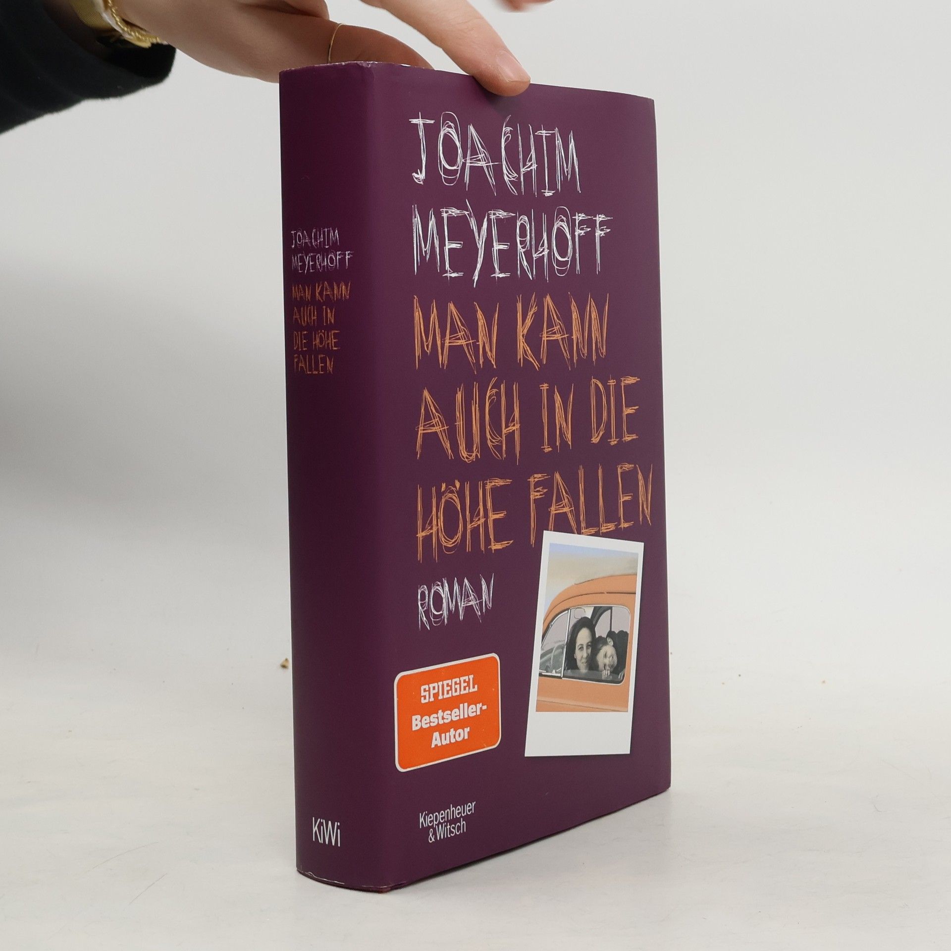 Joachim Meyerhoff Man kann auch in die Höhe fallen