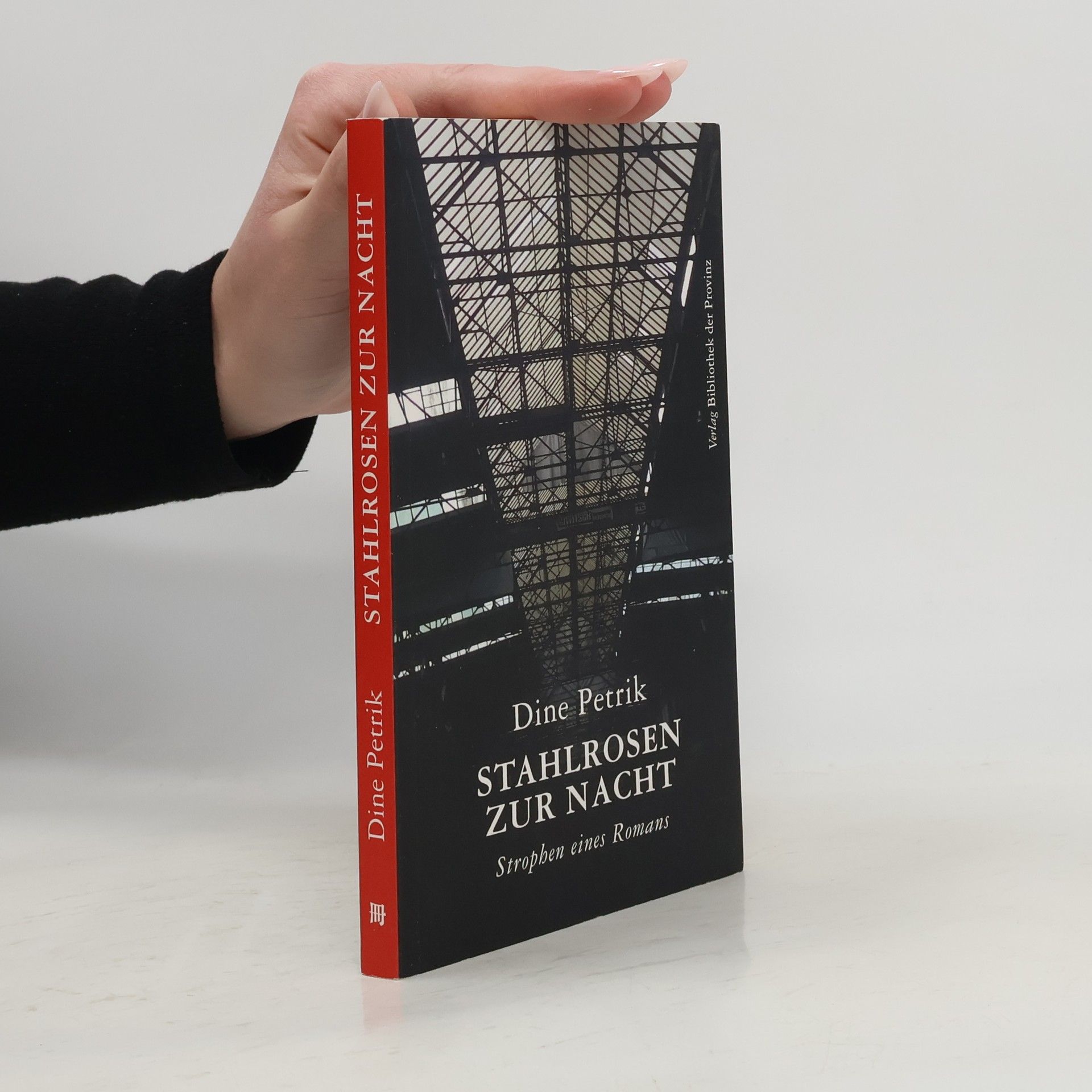 Stahlrosen zur Nacht