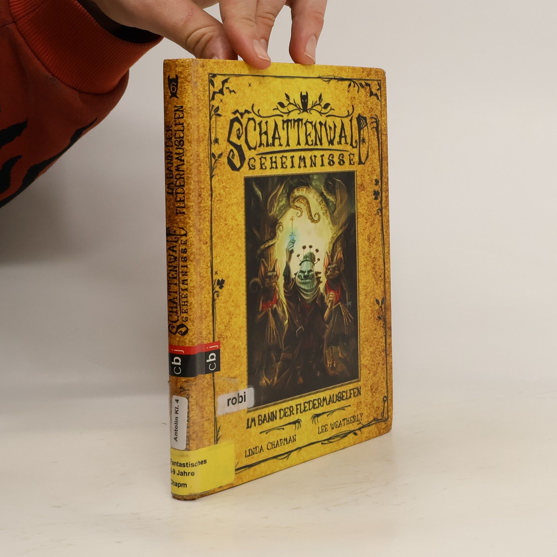 Linda Chapman Schattenwald-Geheimnisse - Im Bann der Fledermauselfen