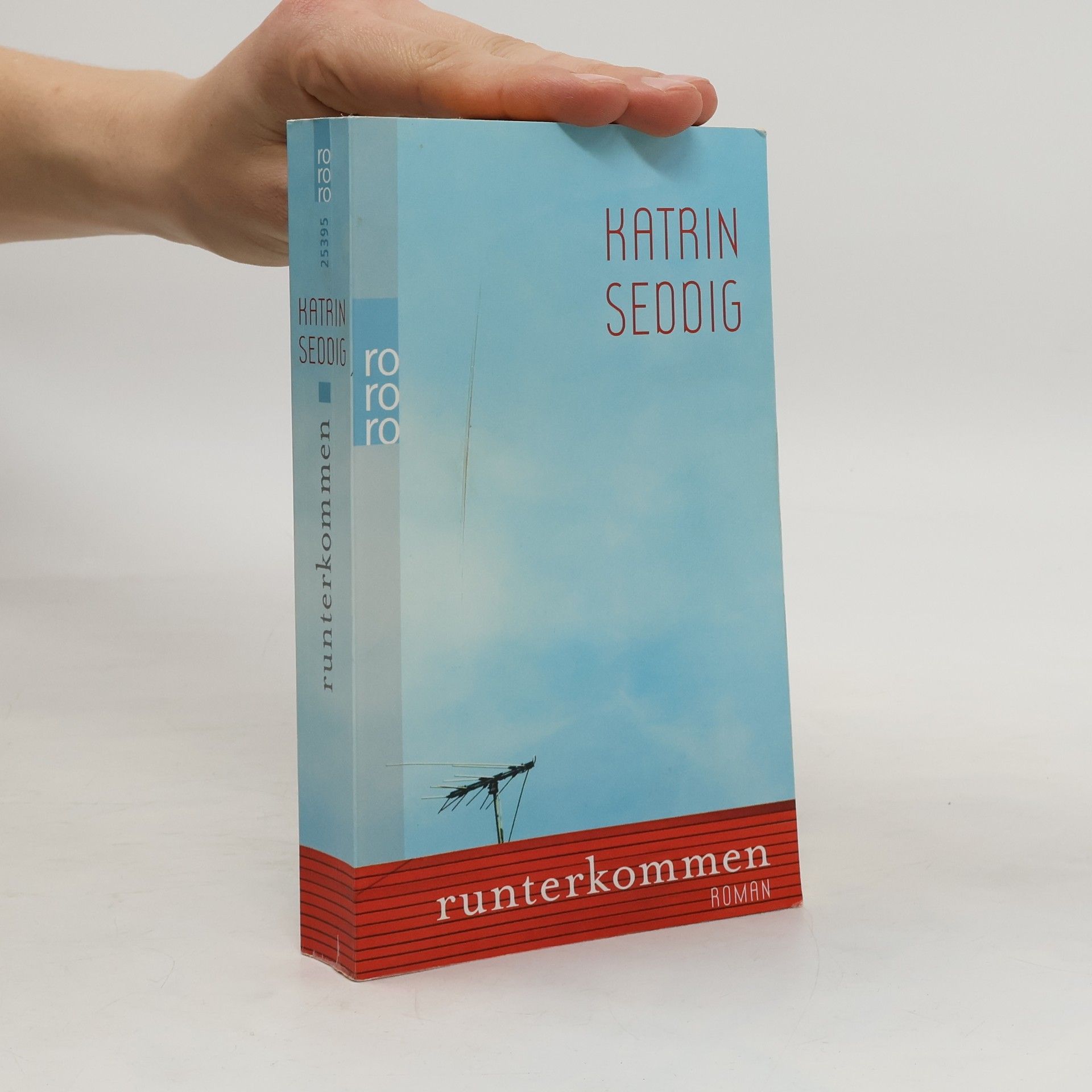 Katrin Seddig Runterkommen. Roman
