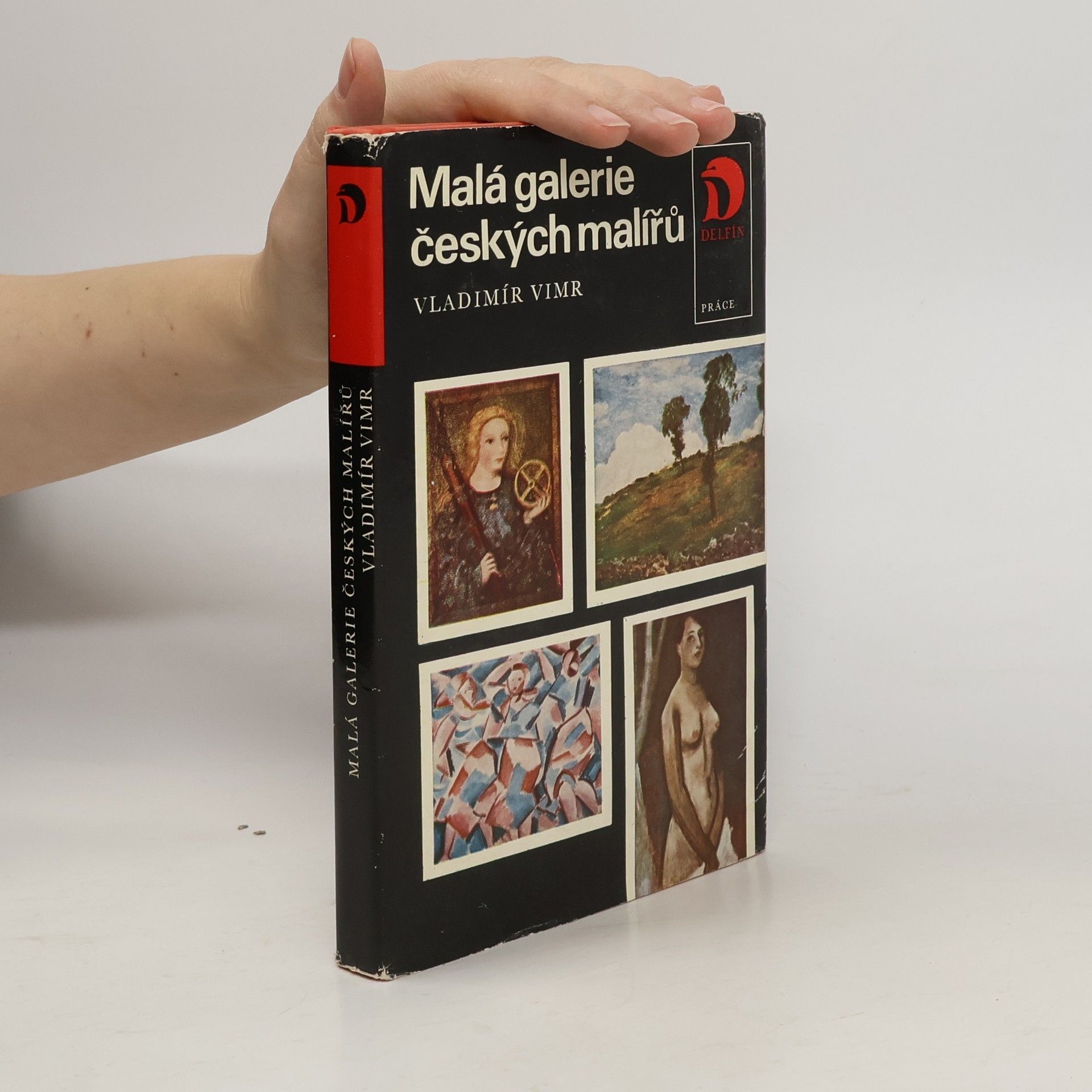 Vladimír Vimr Malá galerie českých malířů