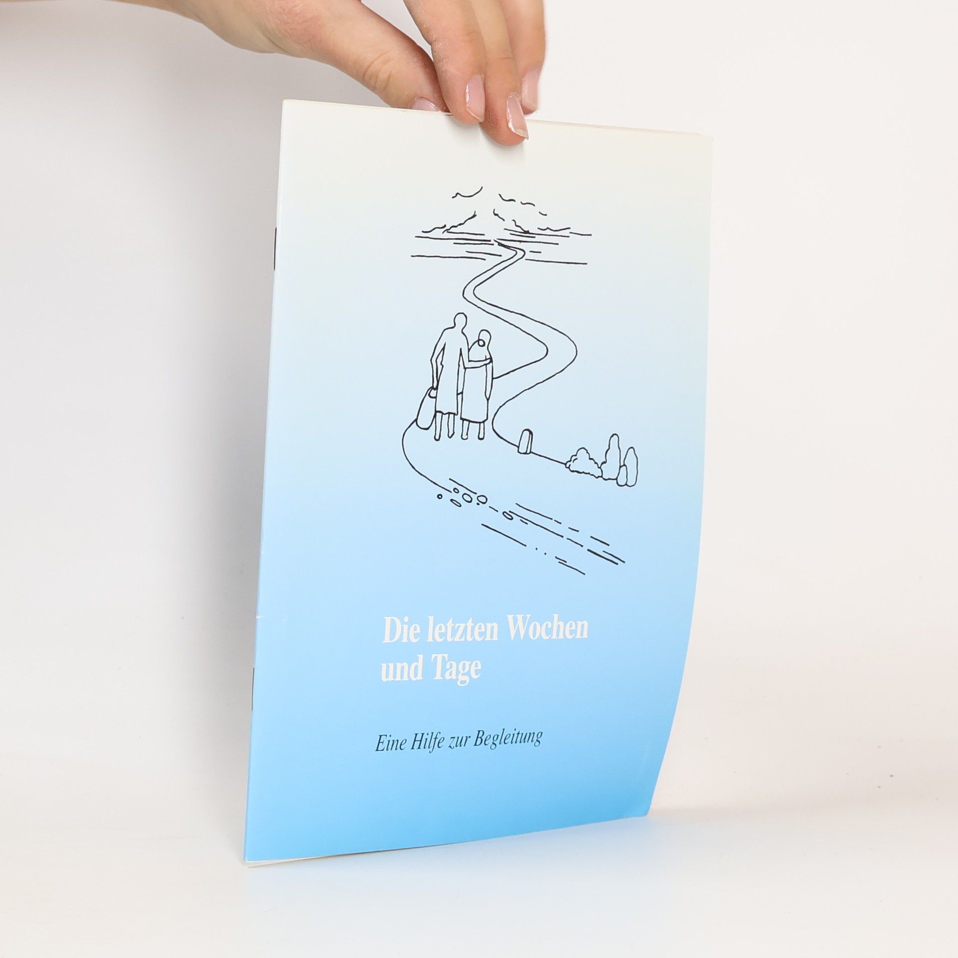 Autorenkollektiv Die letzten Wochen und Tage