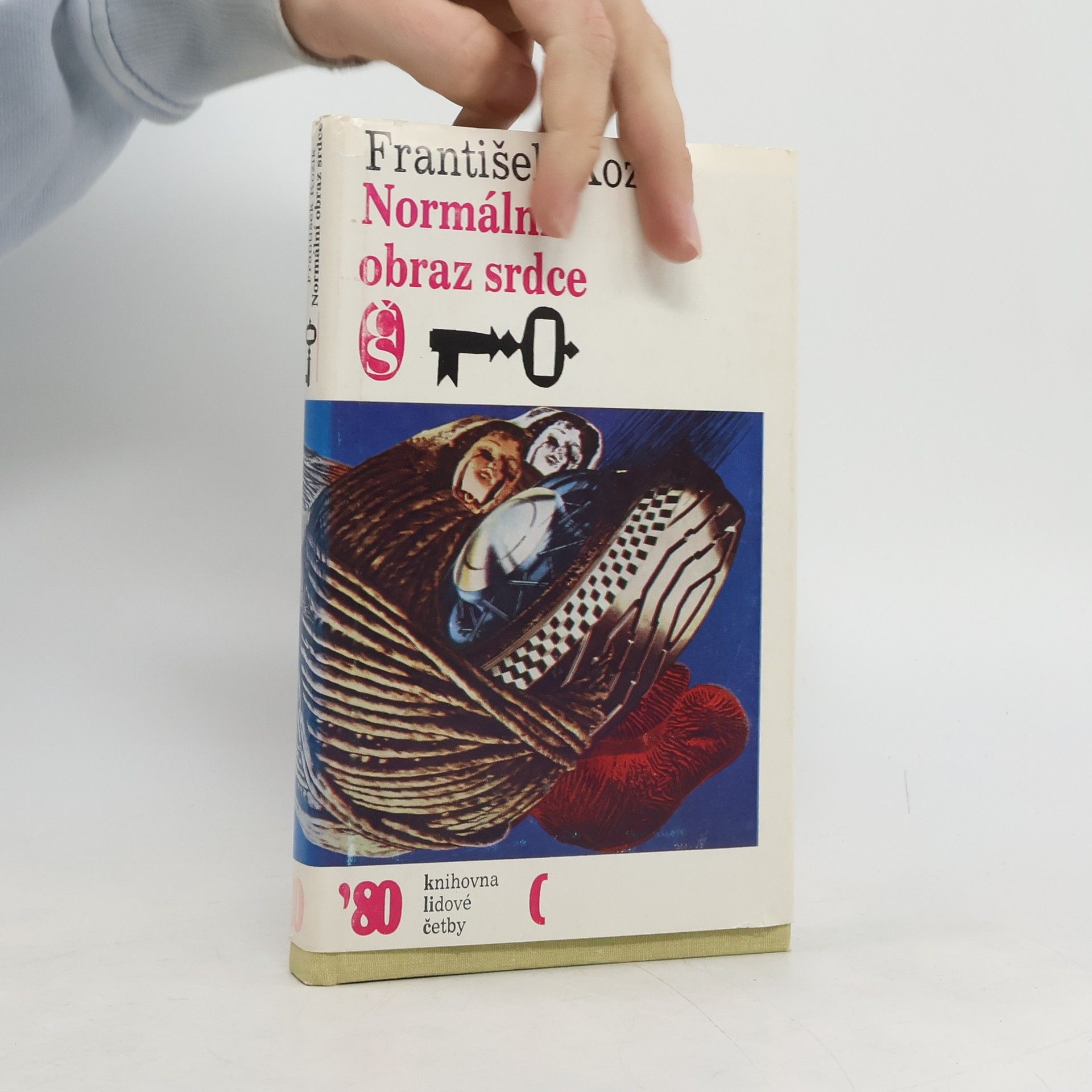 František Kožík Normální obraz srdce