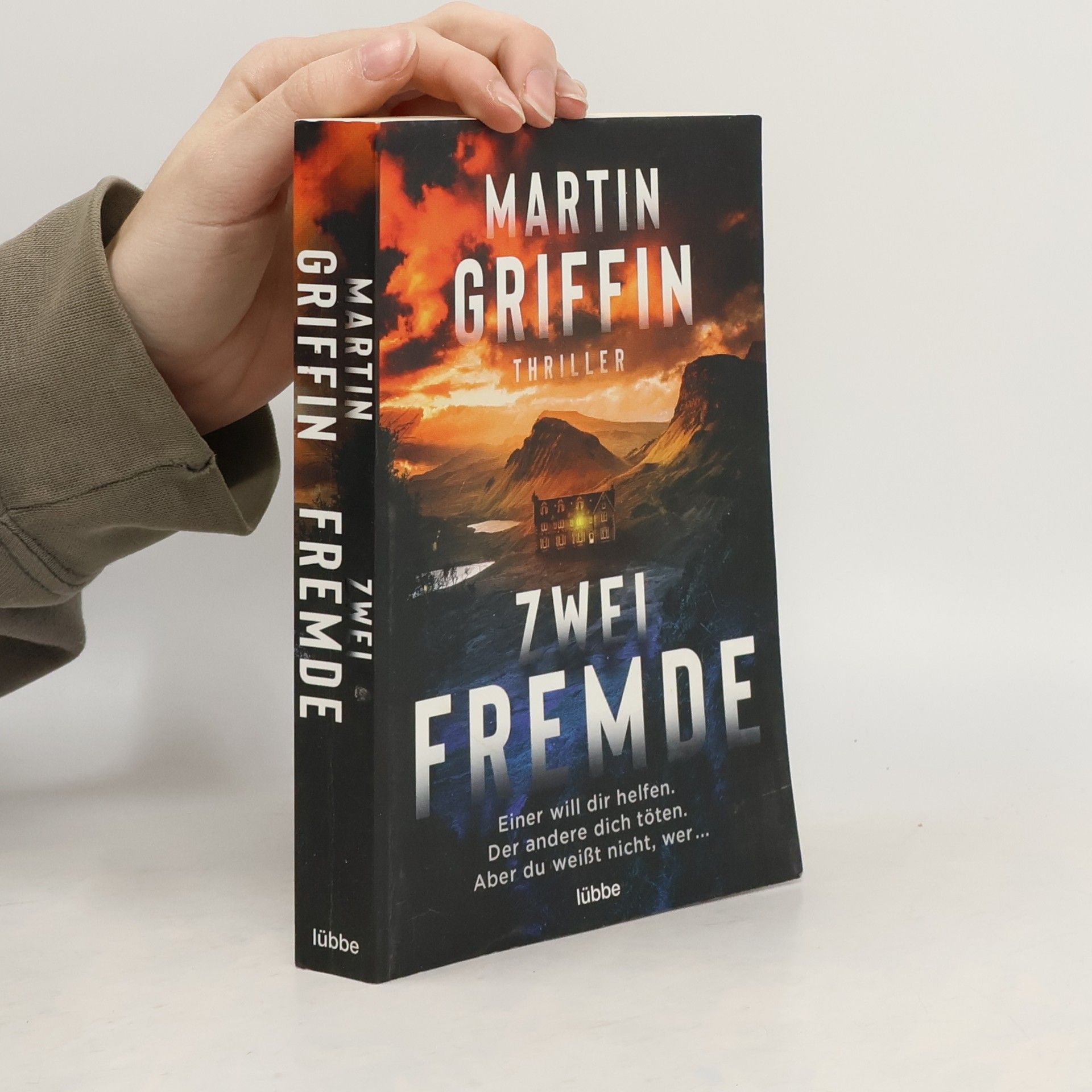 Martin Griffin Zwei Fremde