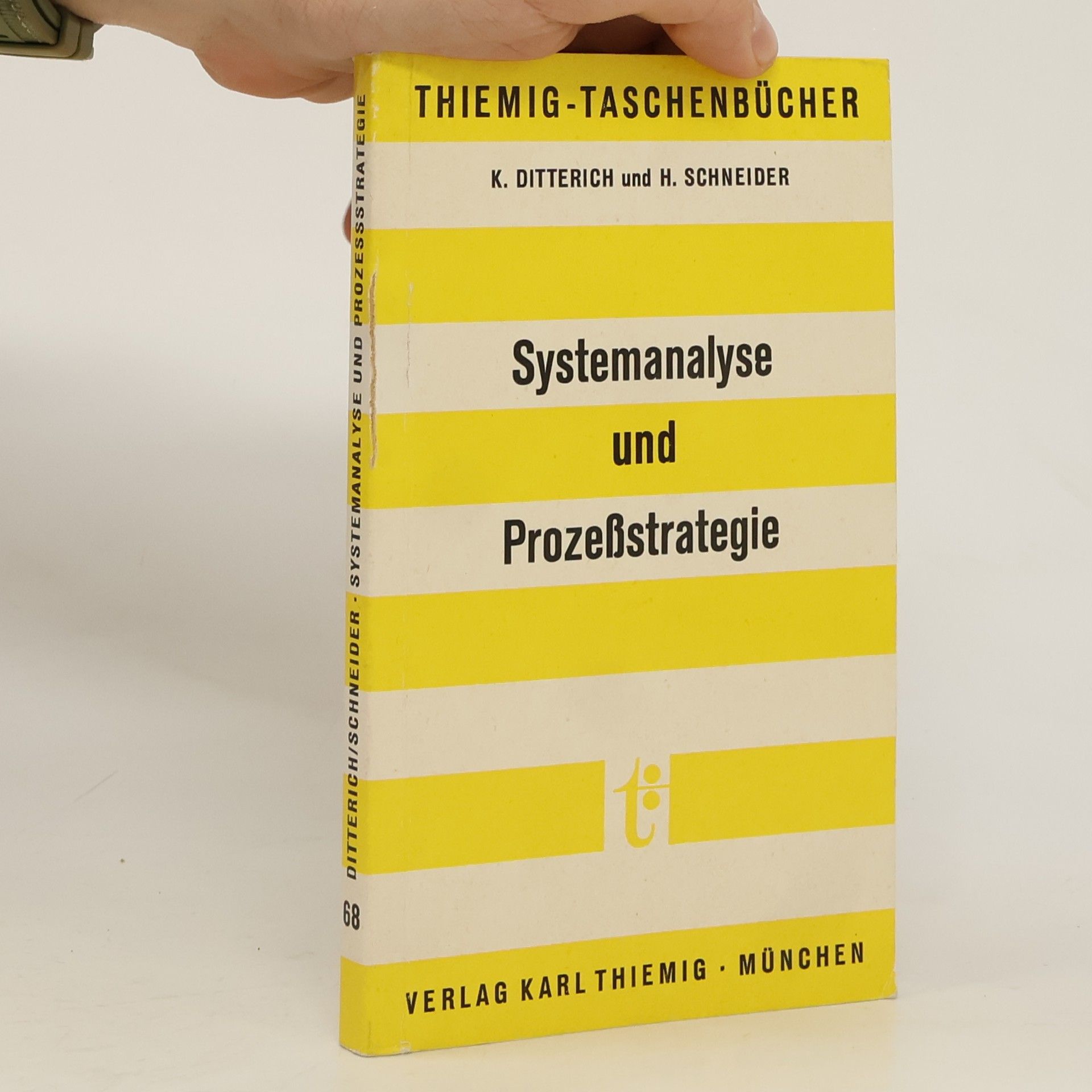 Kuno Ditterich Systemanalyse und Prozessstrategie