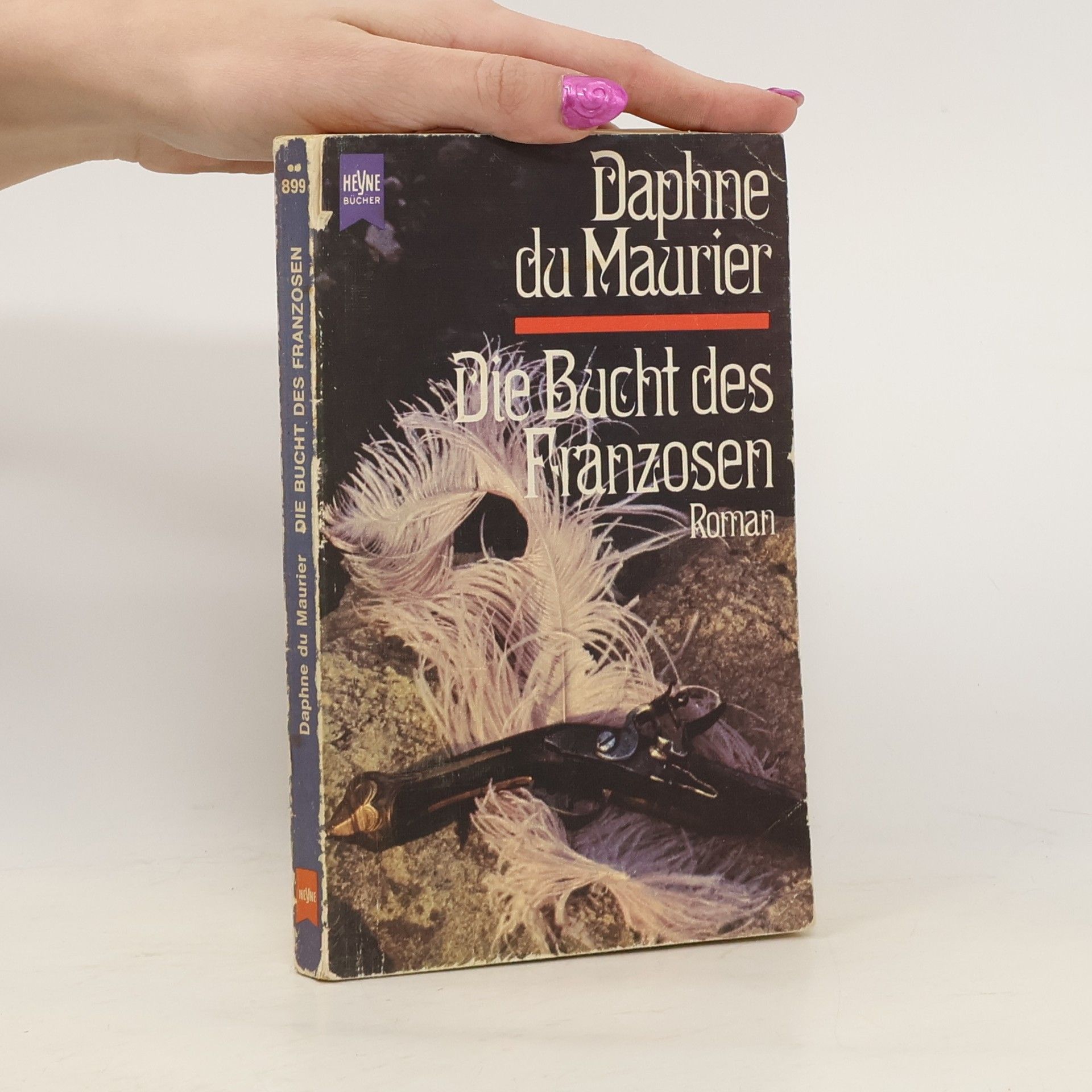 Daphne du Maurierová Die Bucht des Franzosen