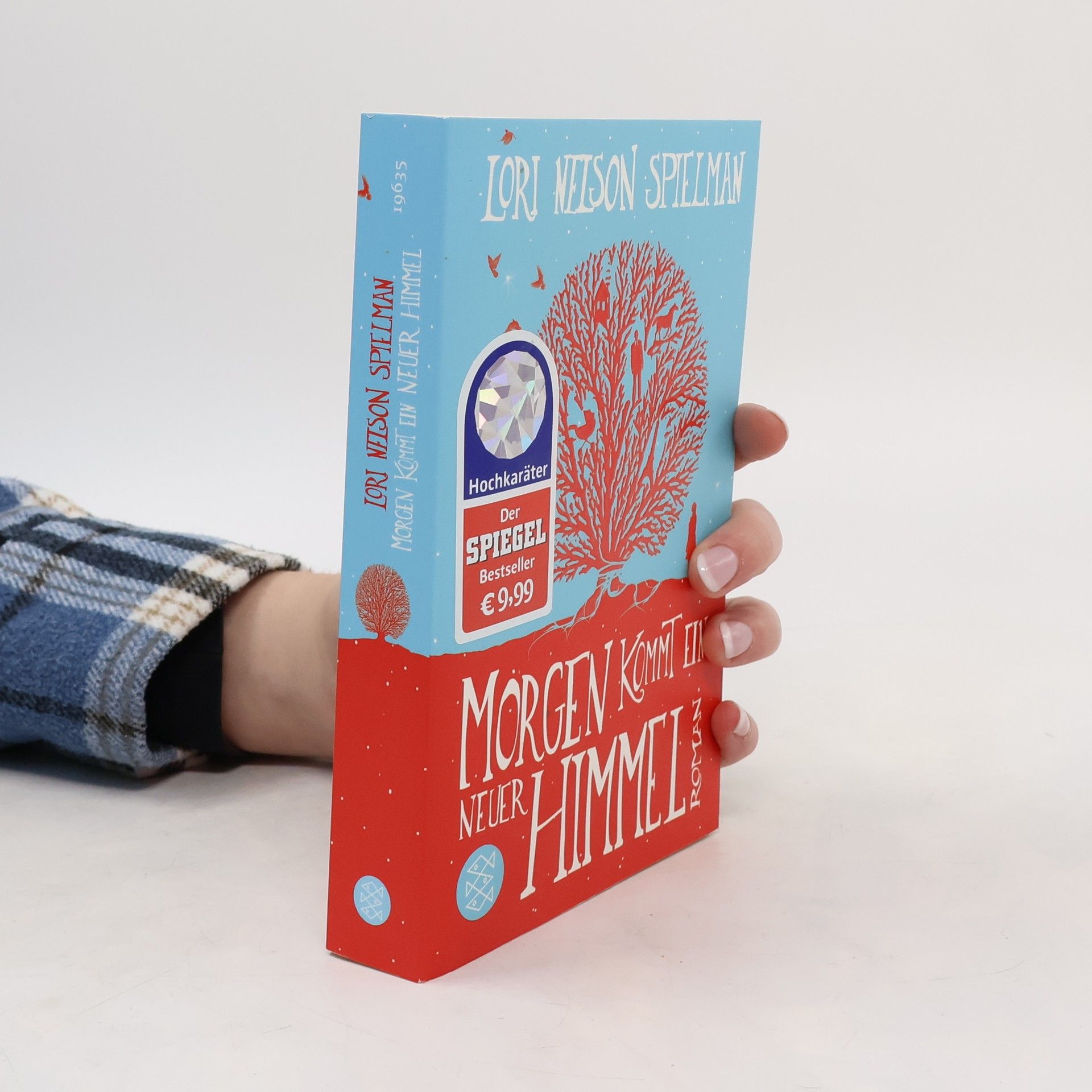 Lori Nelson Spielman Morgen kommt ein neuer Himmel