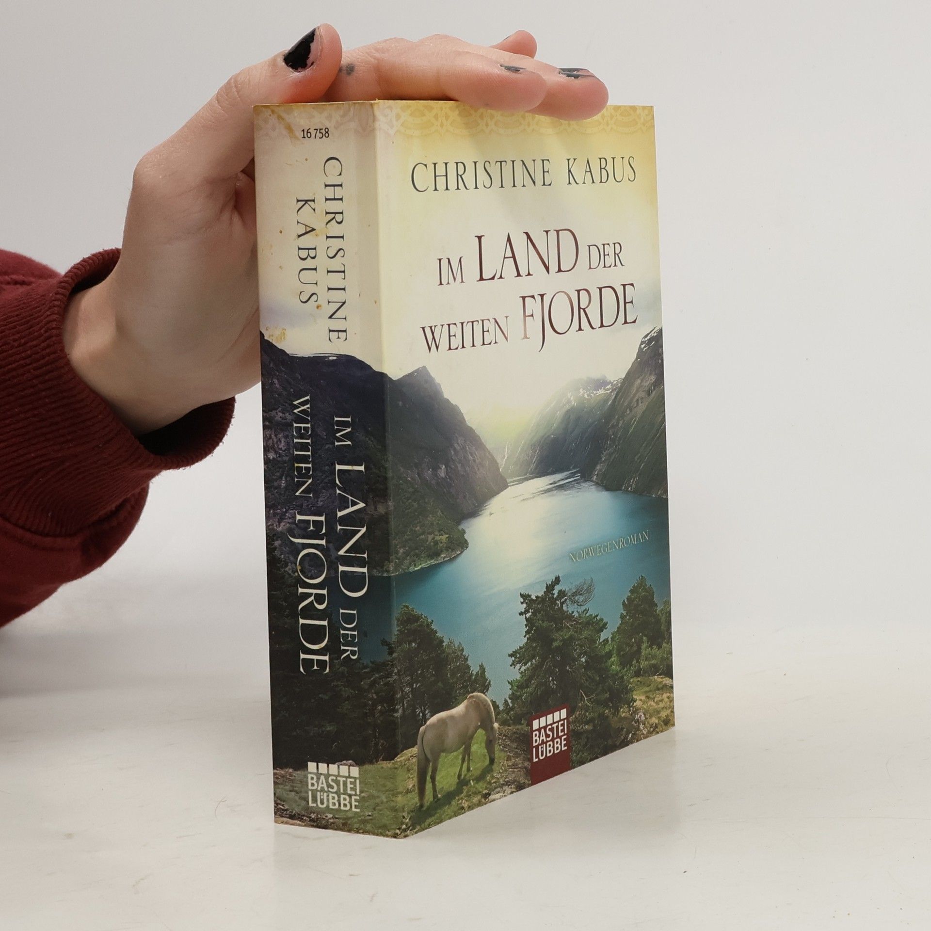 Christine Kabus Im Land der weiten Fjorde