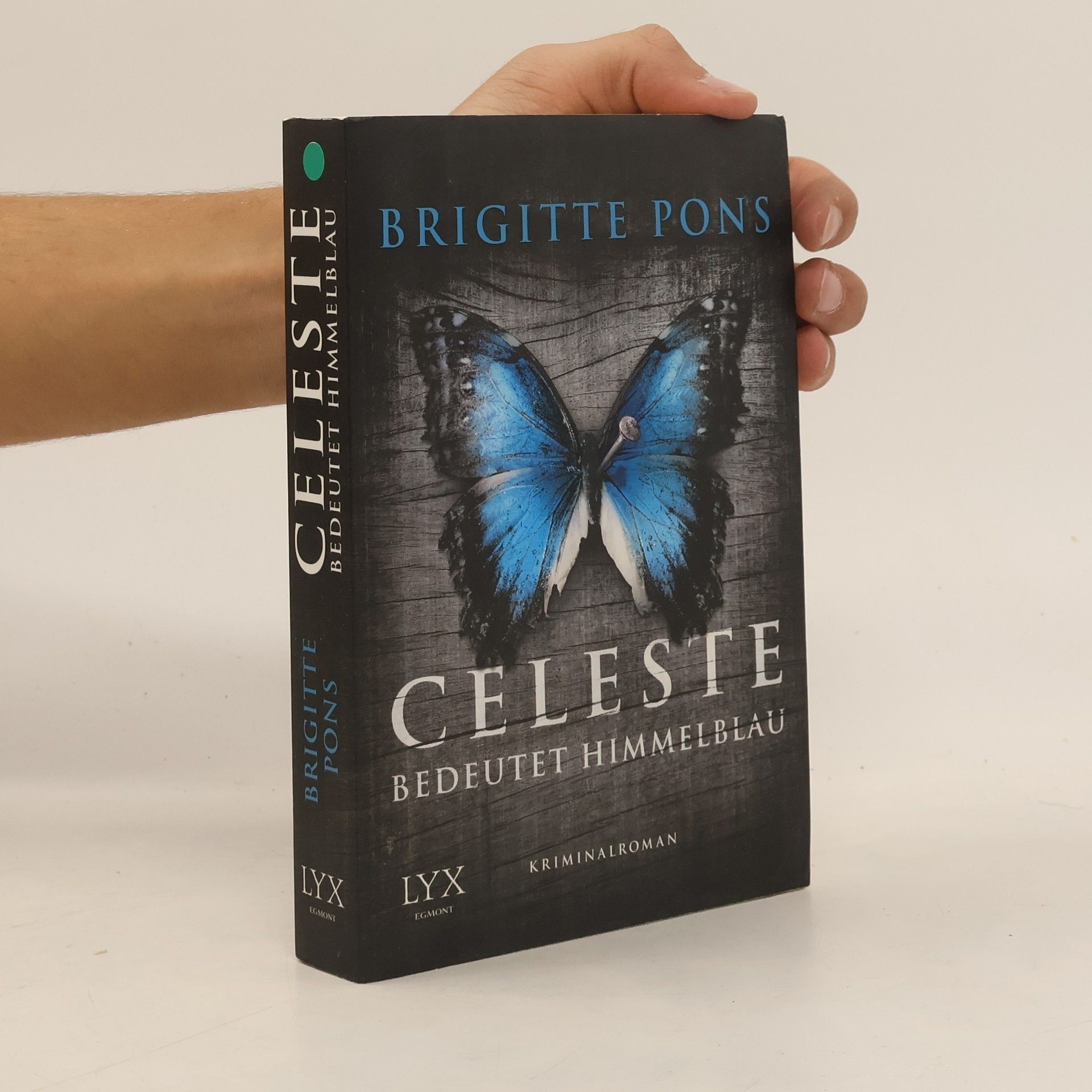 Brigitte Pons Celeste bedeutet Himmelblau