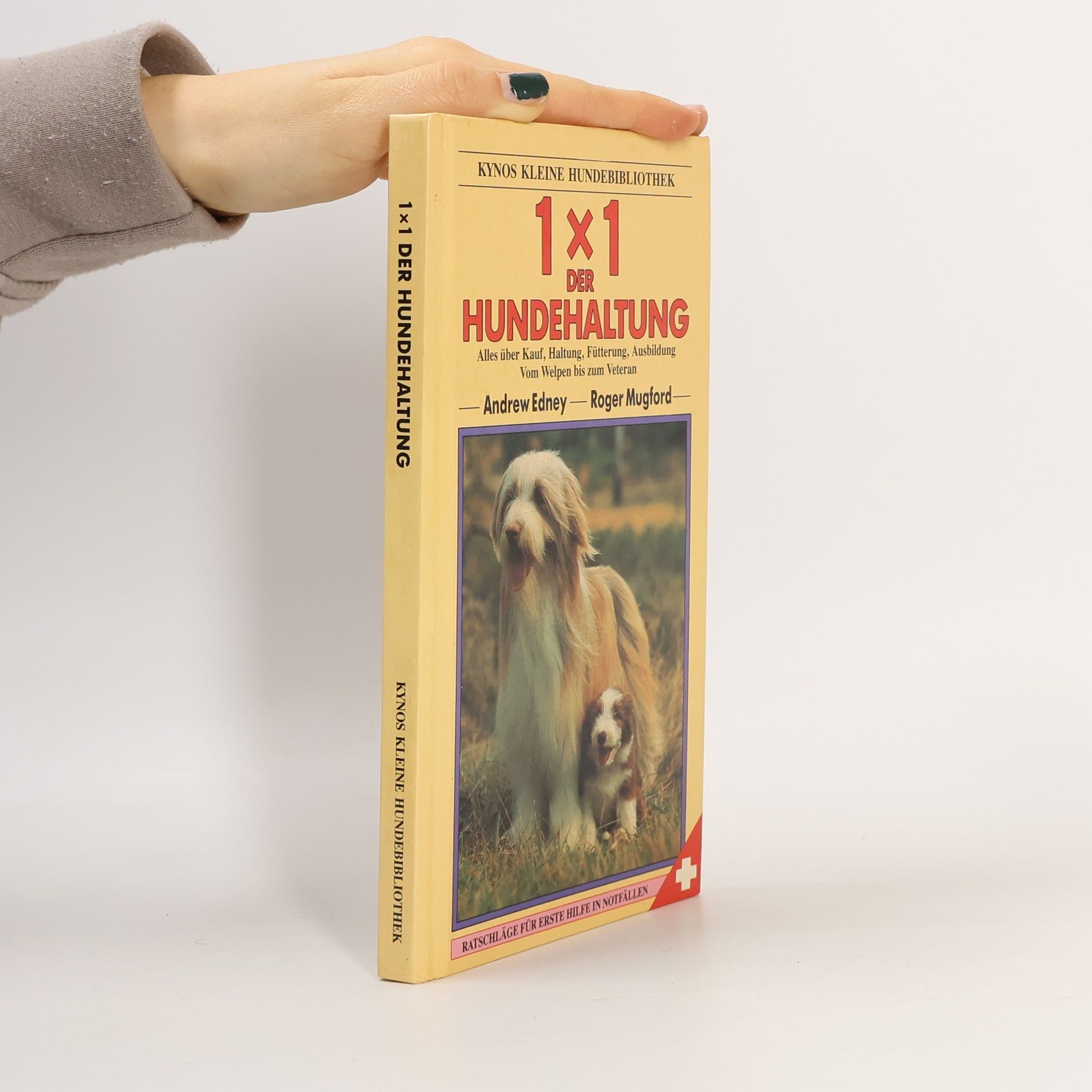 1 x 1 der Hundehaltung