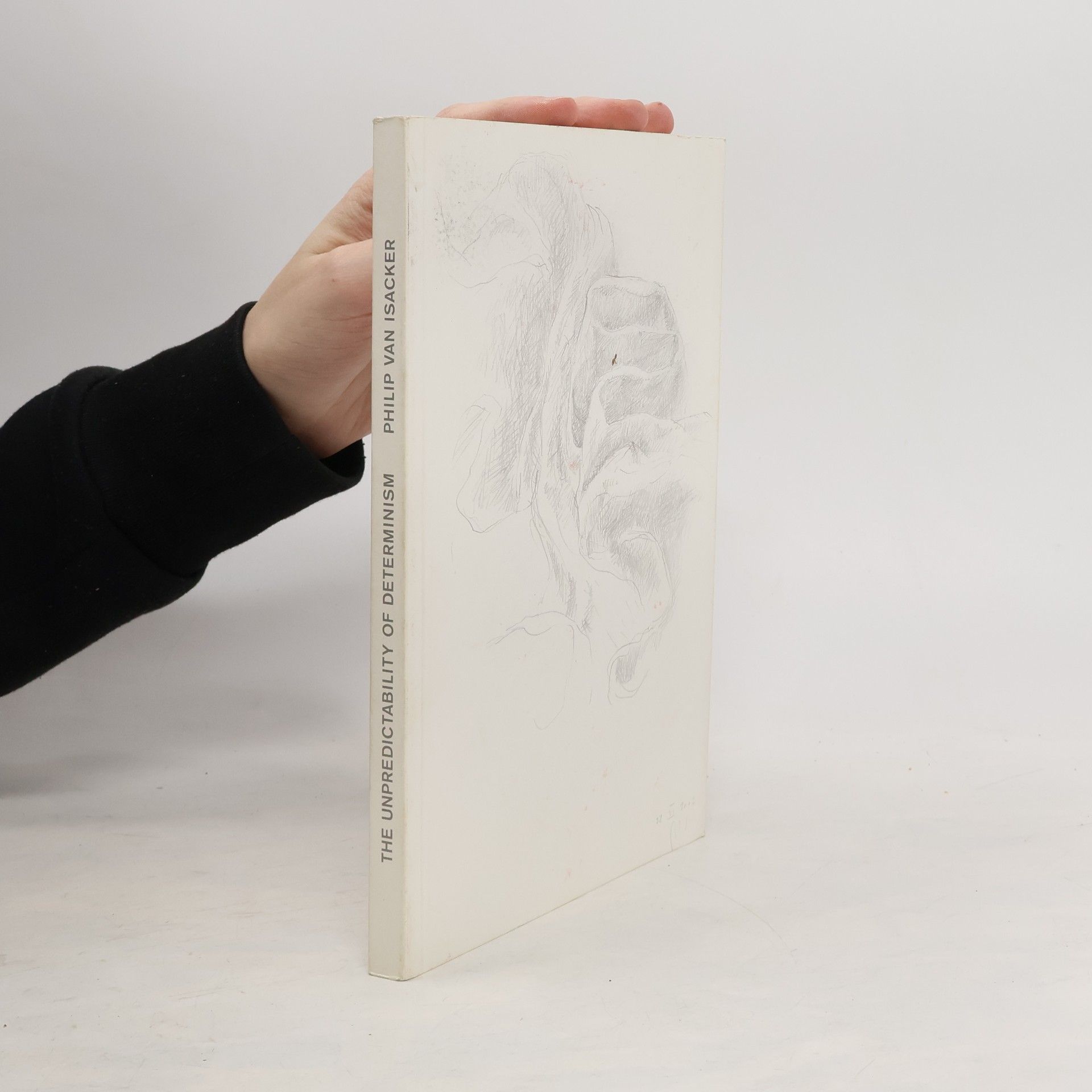 Philip van Isacker The Unpredictability of Determinism