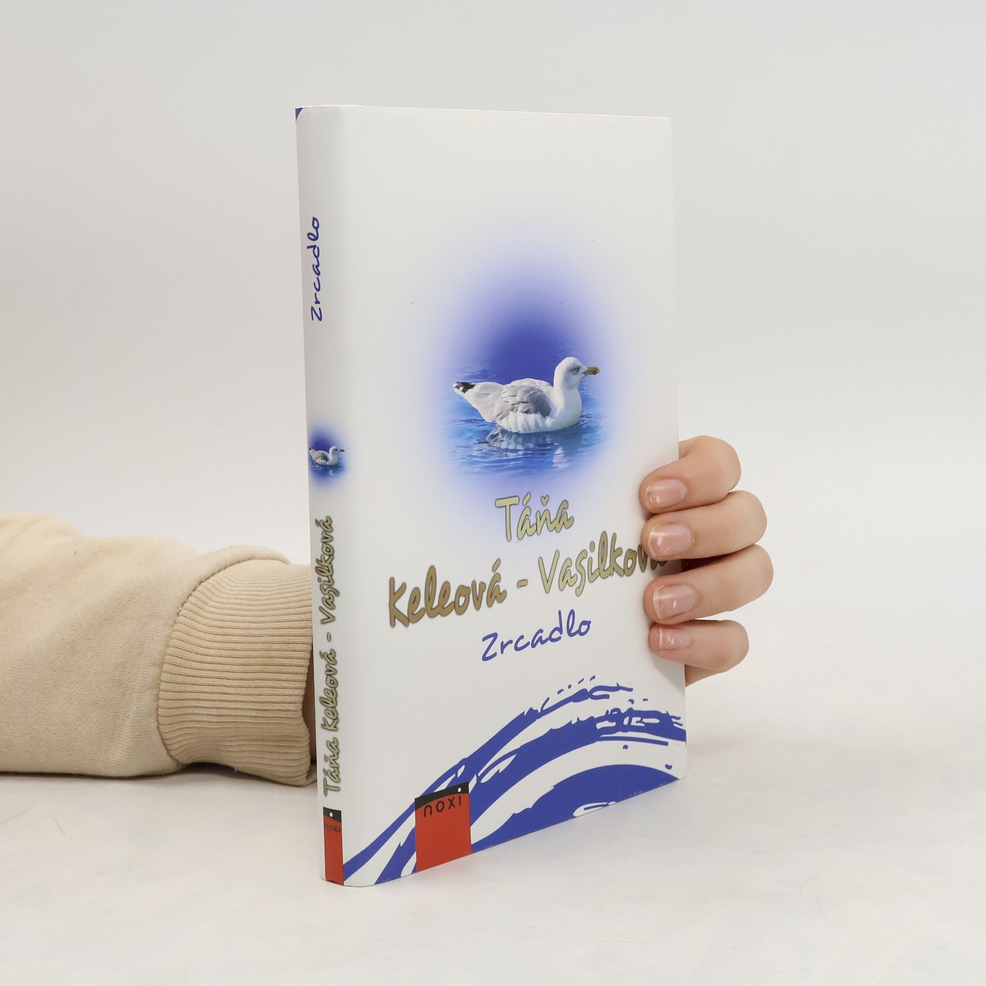 Táňa Keleová-Vasilková Zrcadlo