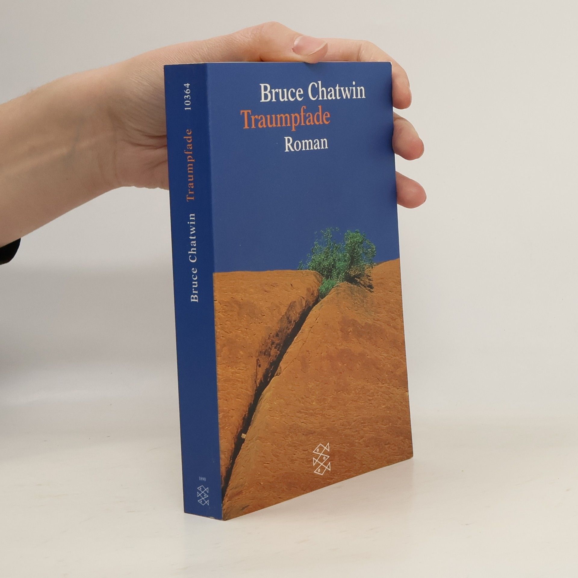 Bruce Chatwin Traumpfade