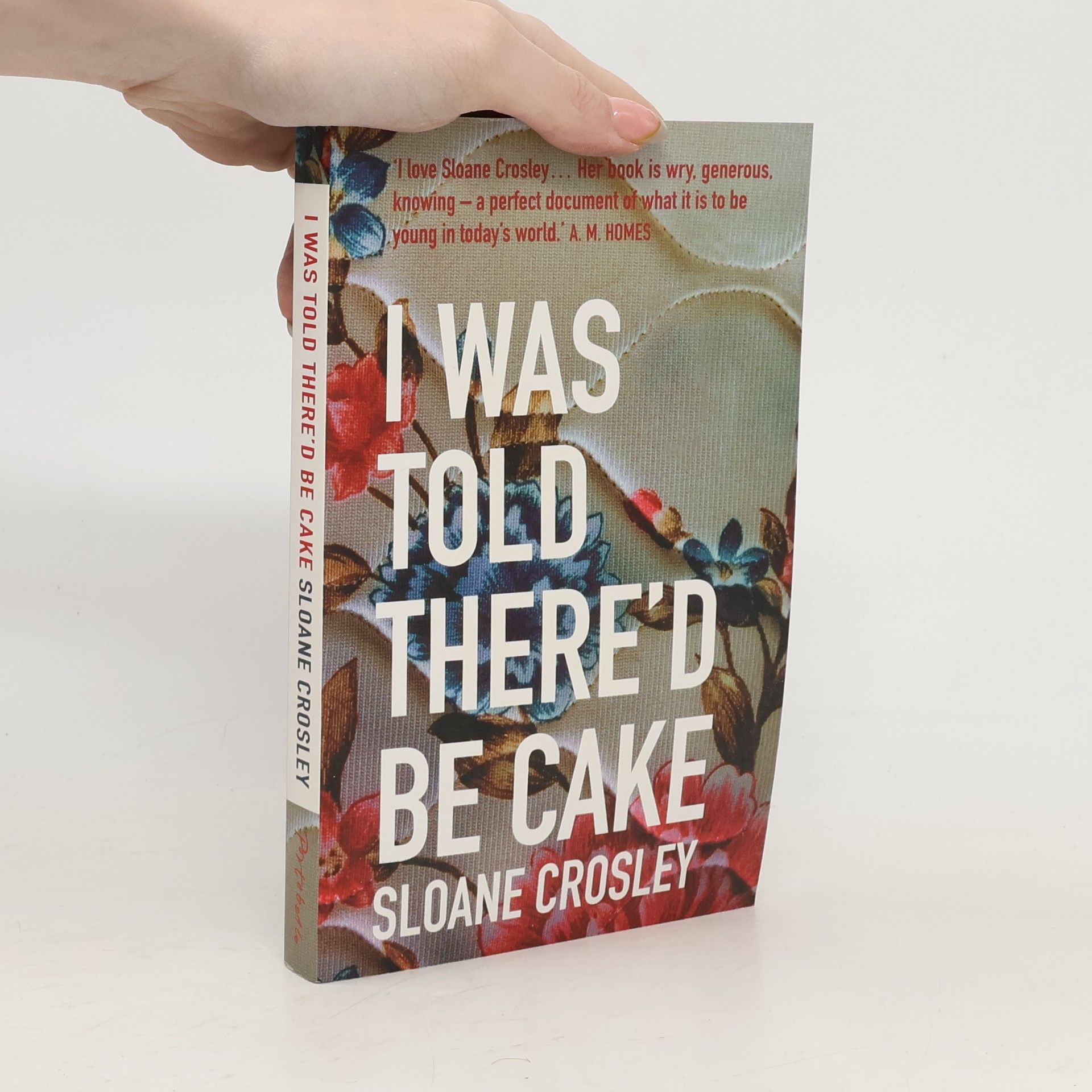 Sloane Crosley I Was Told There'd be Cake