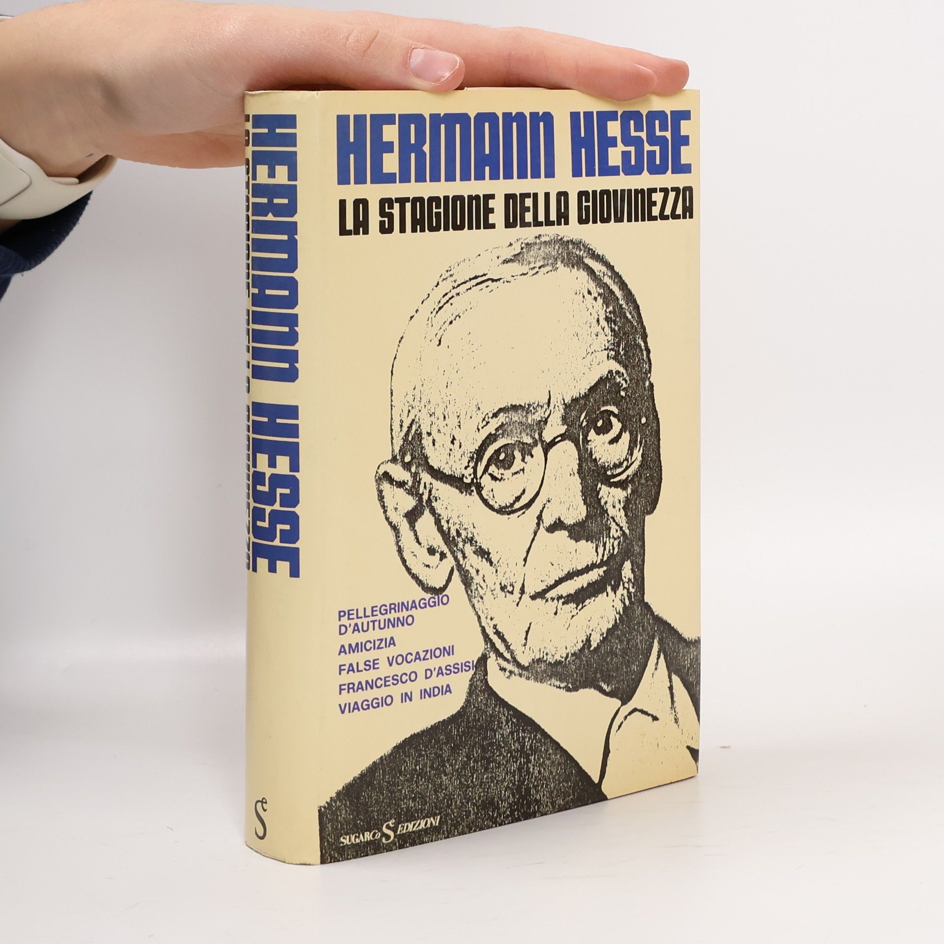 Hermann Hesse La stagione della giovinezza