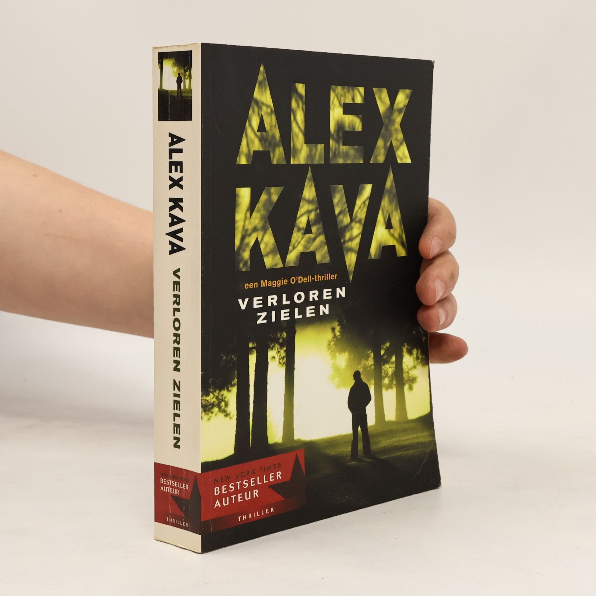 Alex Kava Verloren zielen