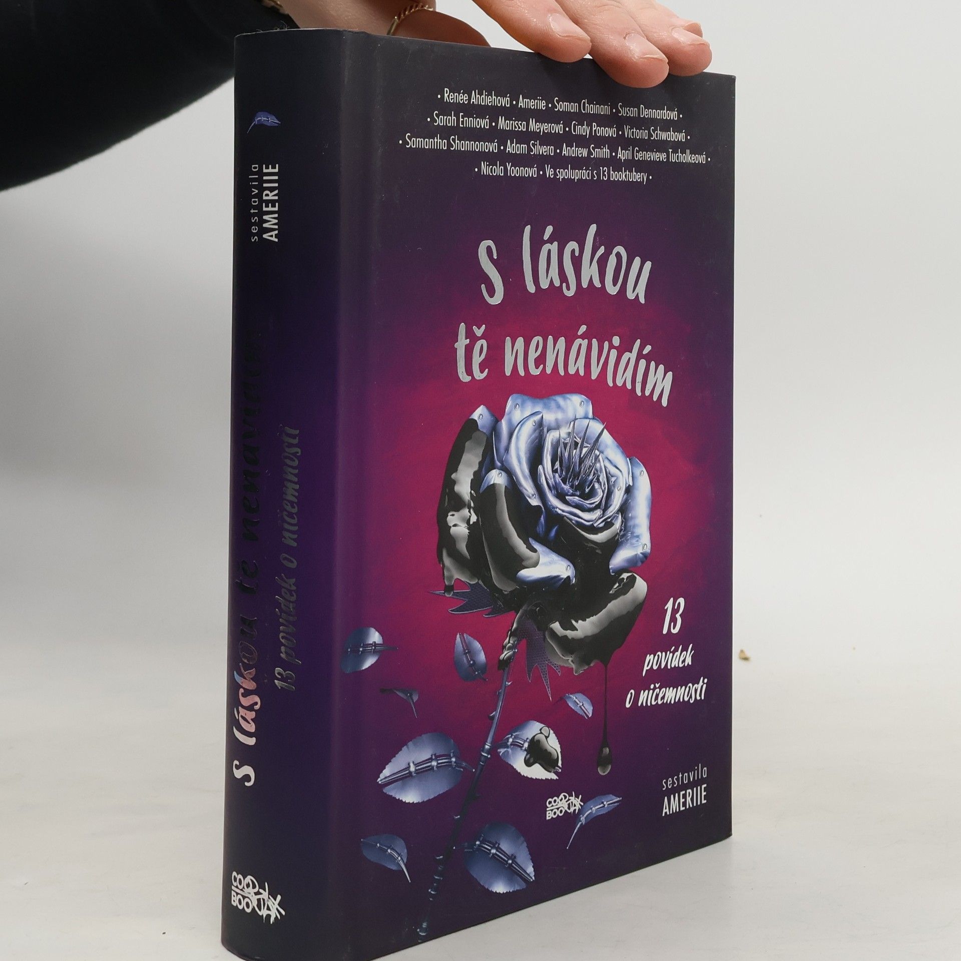 S láskou tě nenávidím