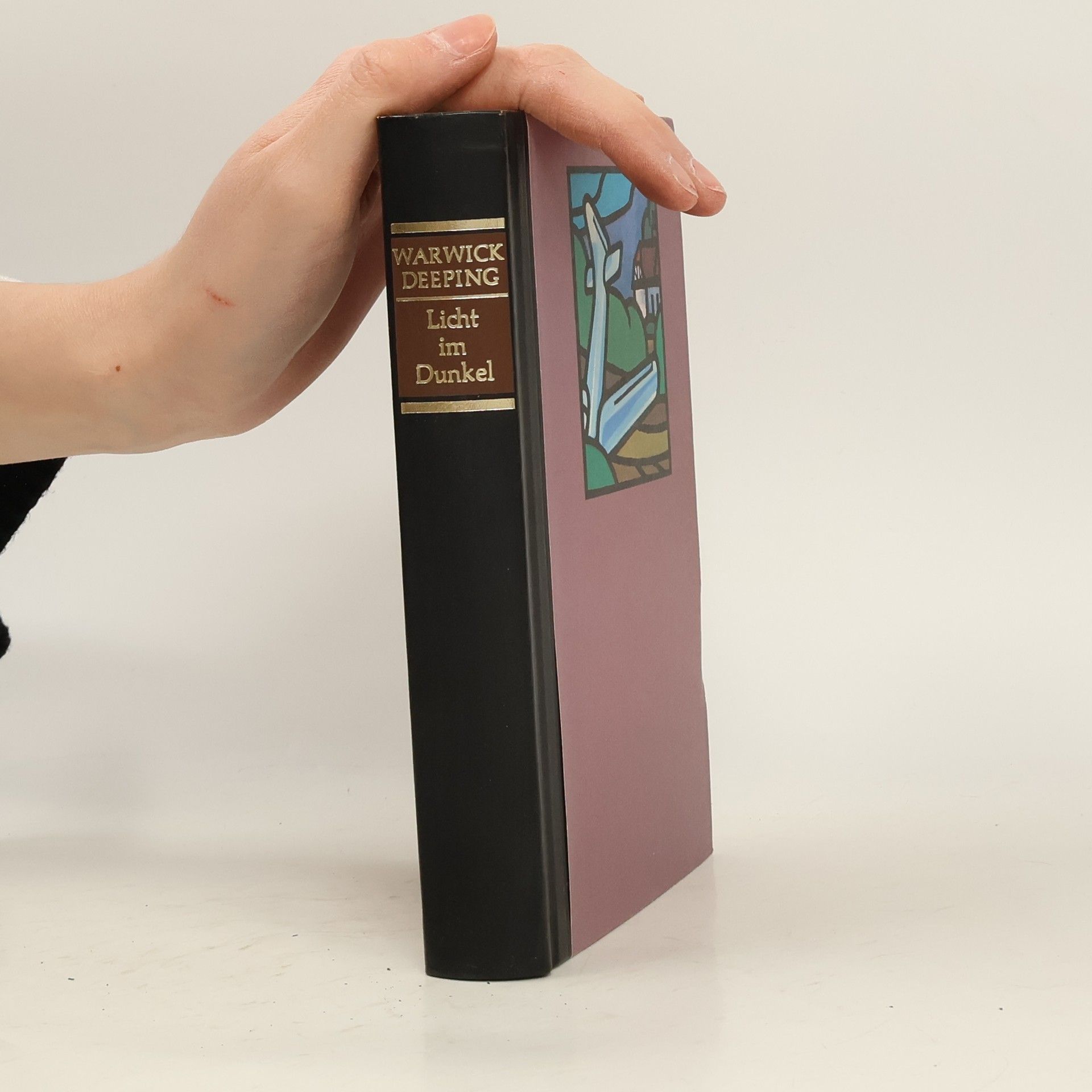 Warwick Deeping Licht im Dunkel