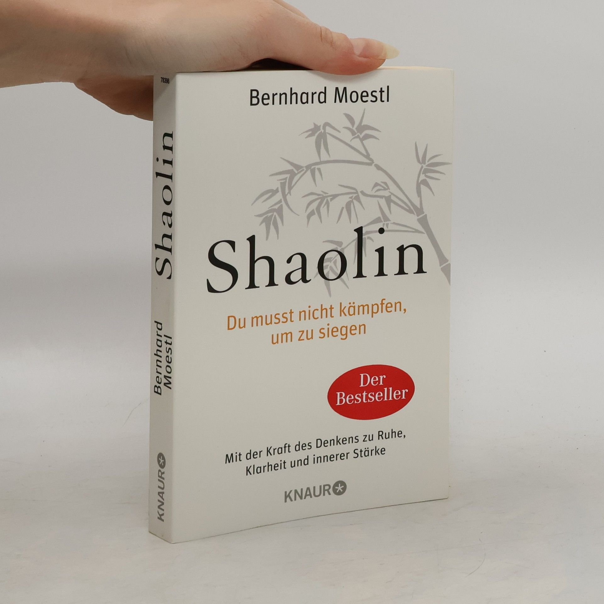 Bernhard Moestl Shaolin