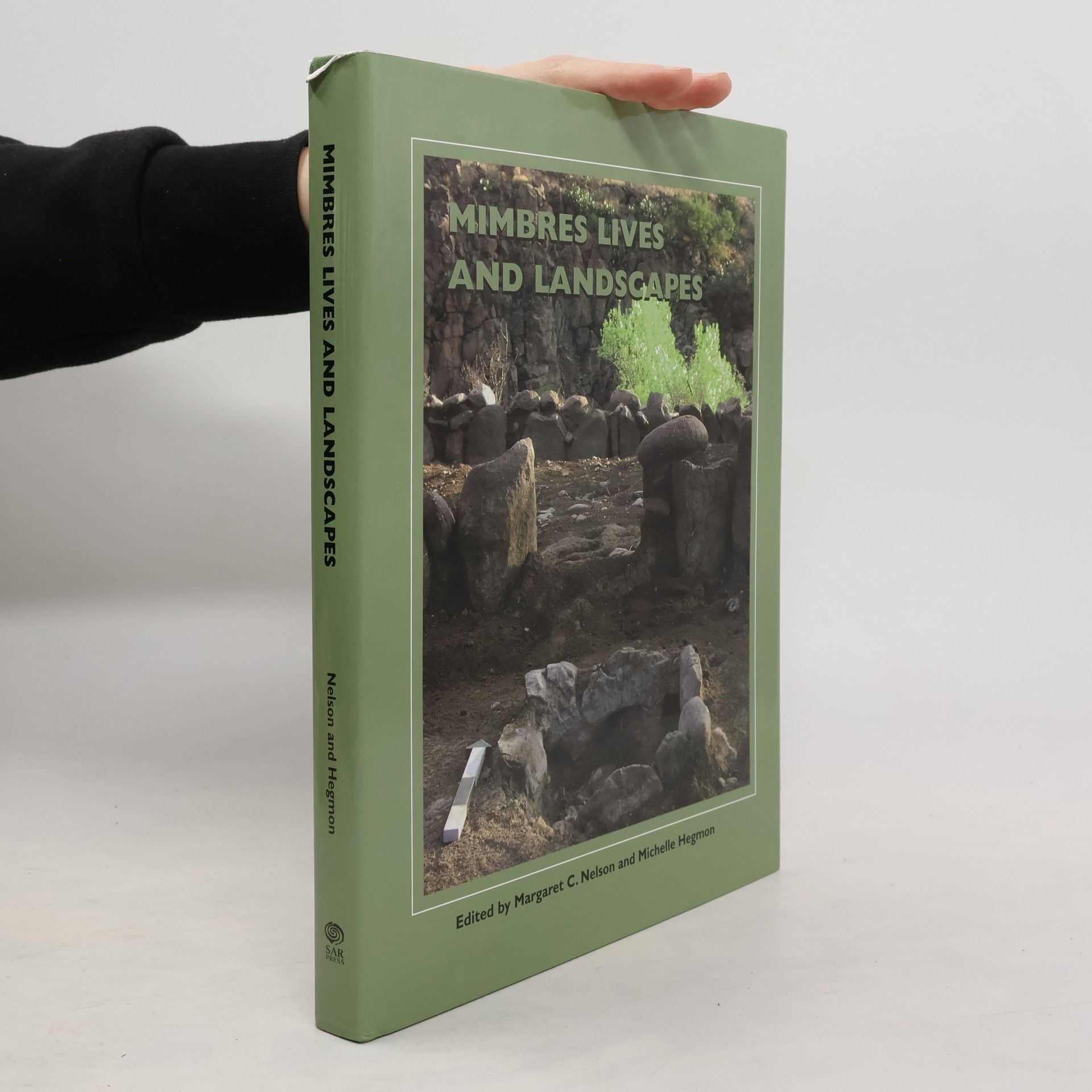 Kelley Hays-Gilpin Mimbres Lives and Landscapes