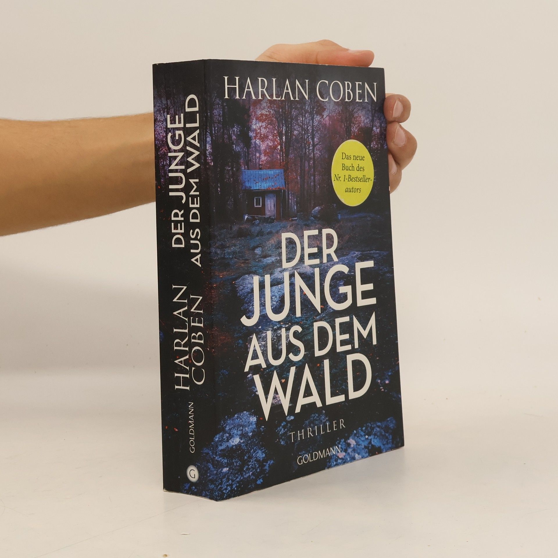 Harlan Coben Der Junge aus dem Wald