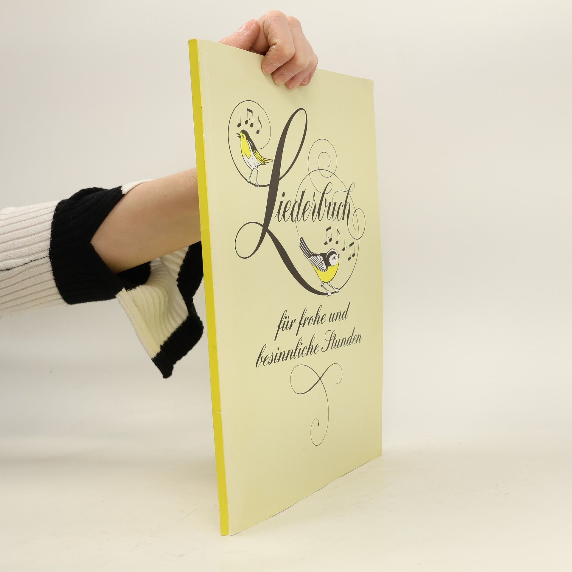 Kolektív autorov Liederbuch für frohe und besinnliche Stunden