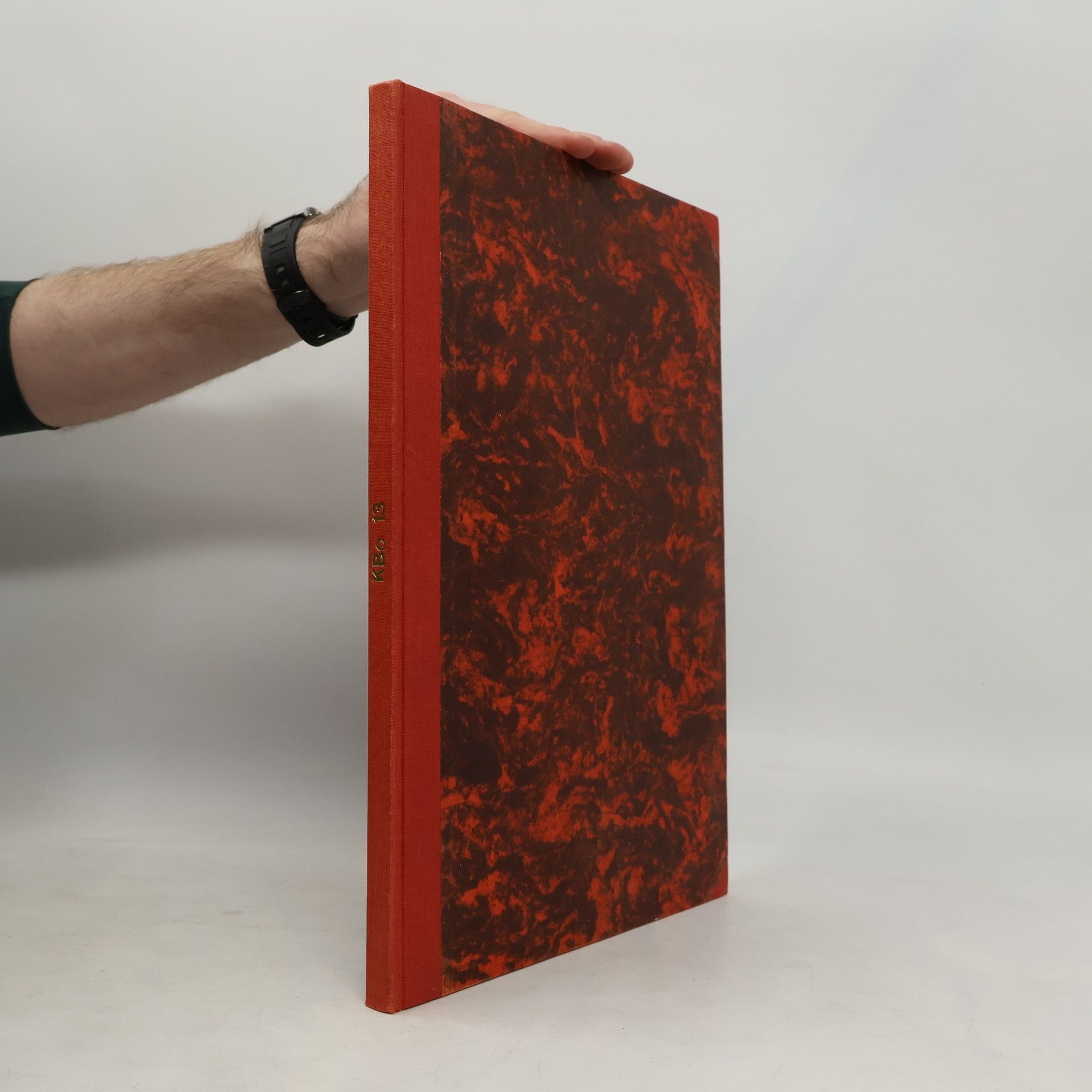 Autorenkollektiv Die Keilschrift von Boghazköi 13