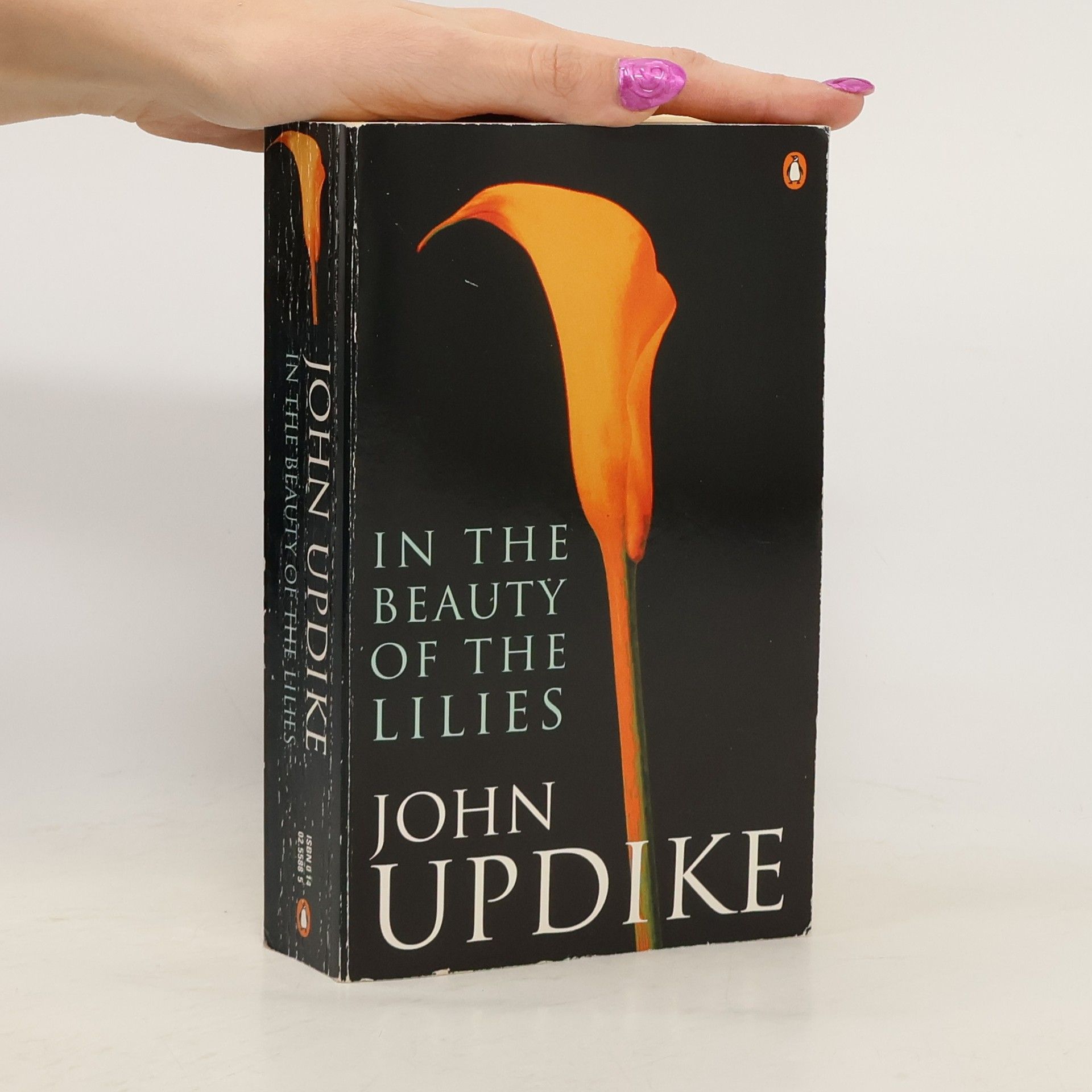 John Updike In the Beauty of the Lilies