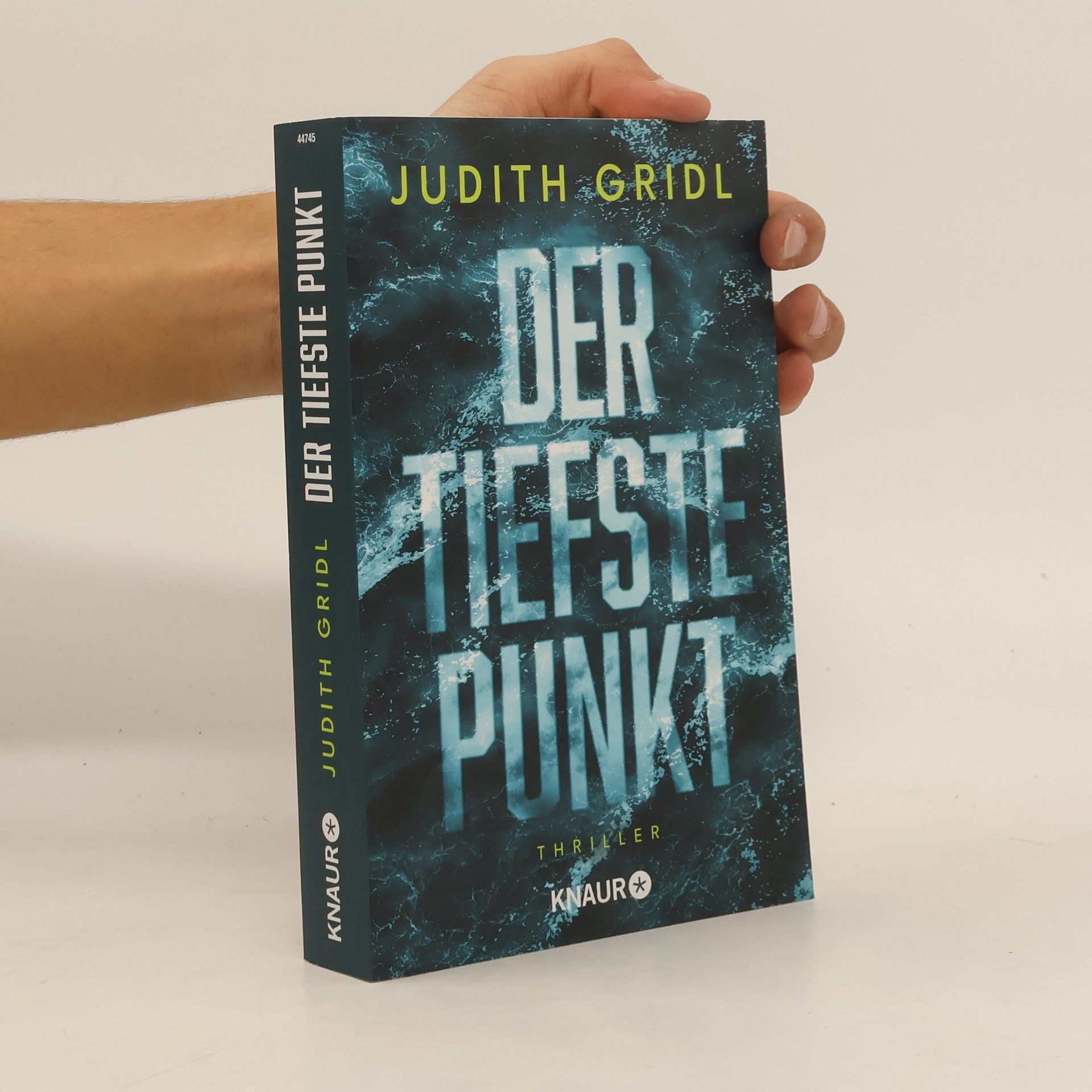 Judith Gridl Der tiefste Punkt
