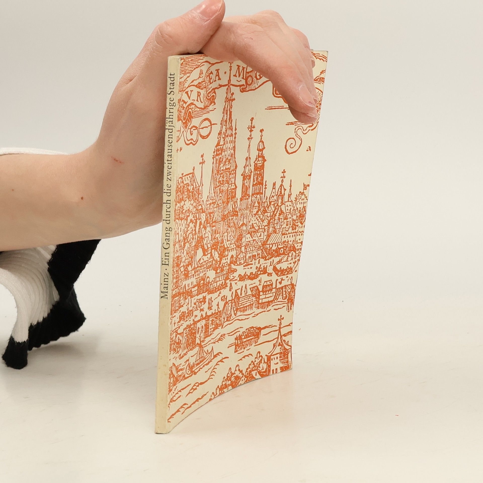 Collectif d'auteurs Mainz - Ein Gang durch die zwei tausendjährige Stadt