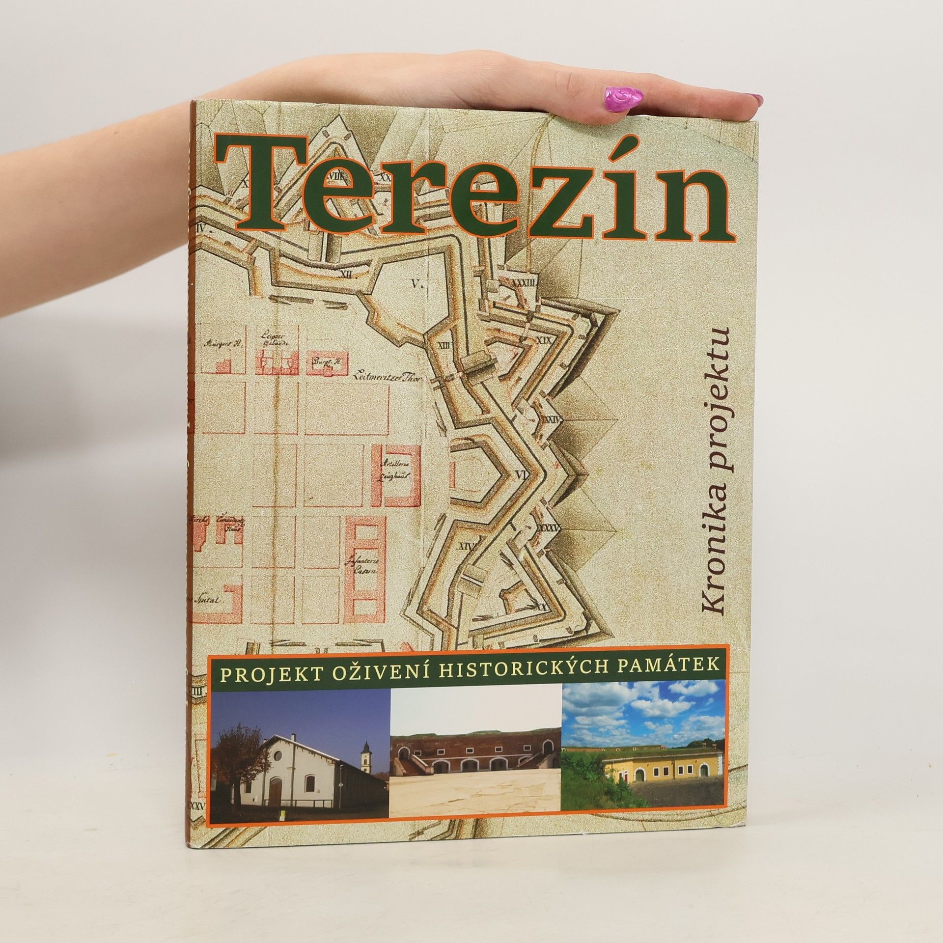 Kolektiv autorů Terezín - projekt oživení historických památek : Kronika projektu