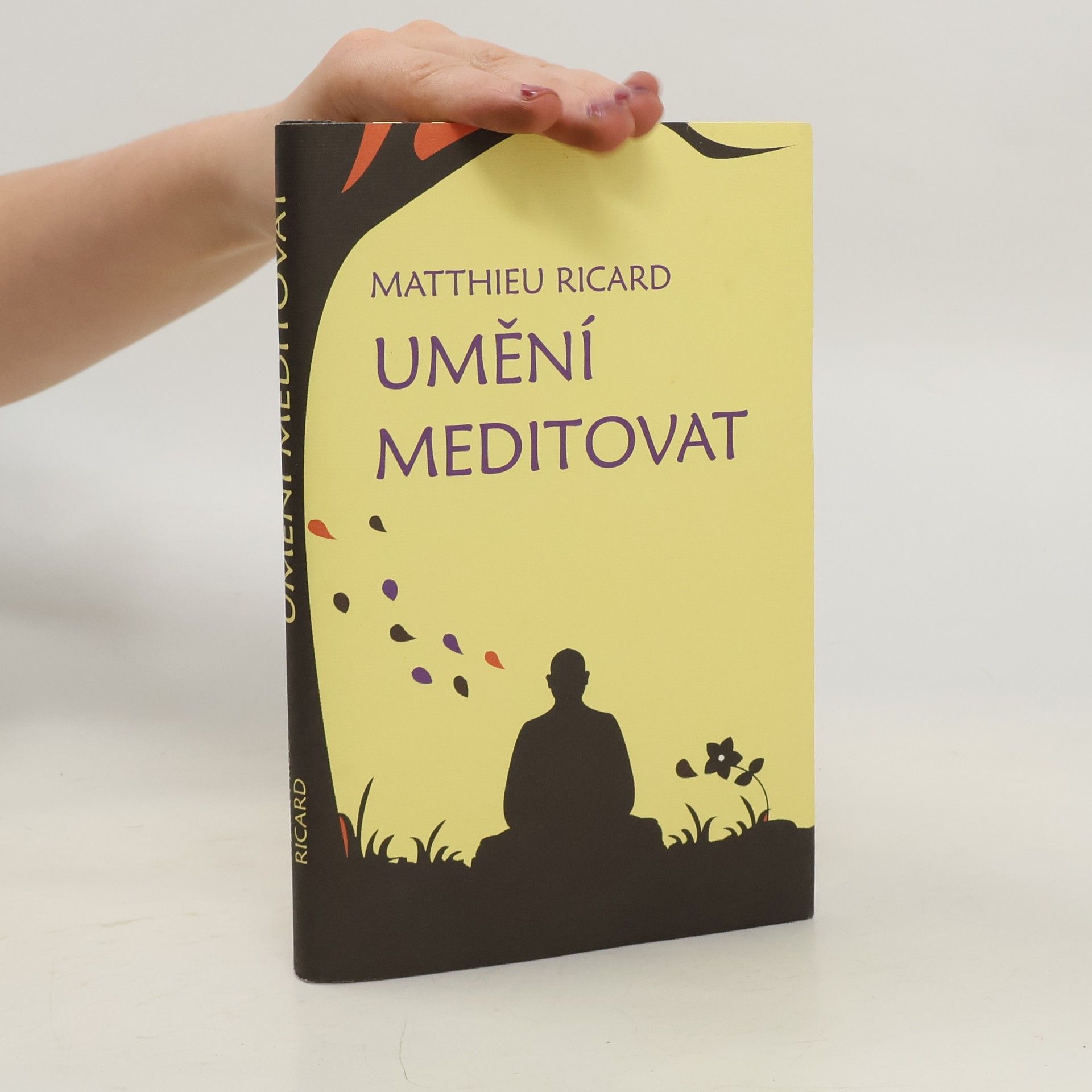 Umění meditovat