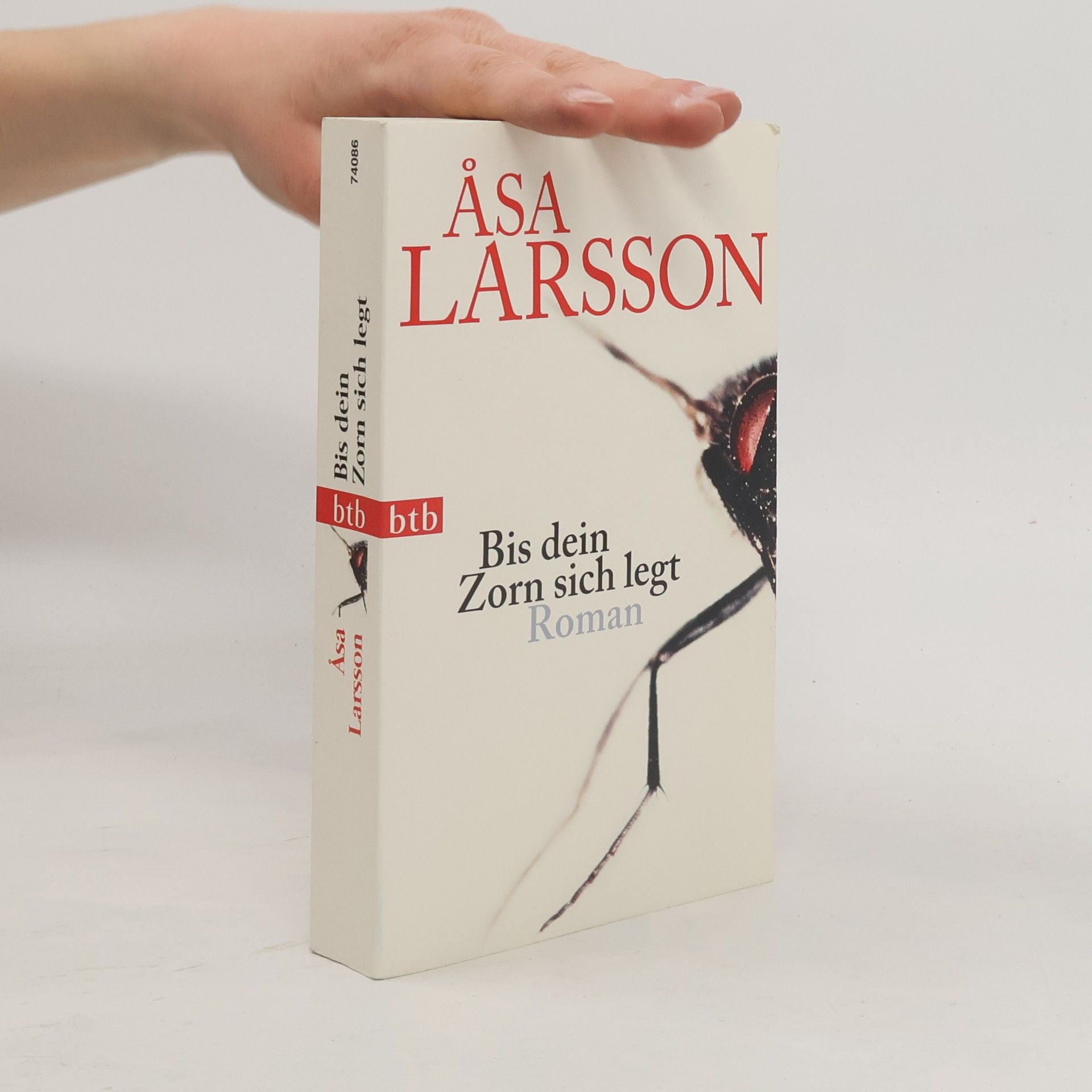 Åsa Larsson Bis dein Zorn sich legt