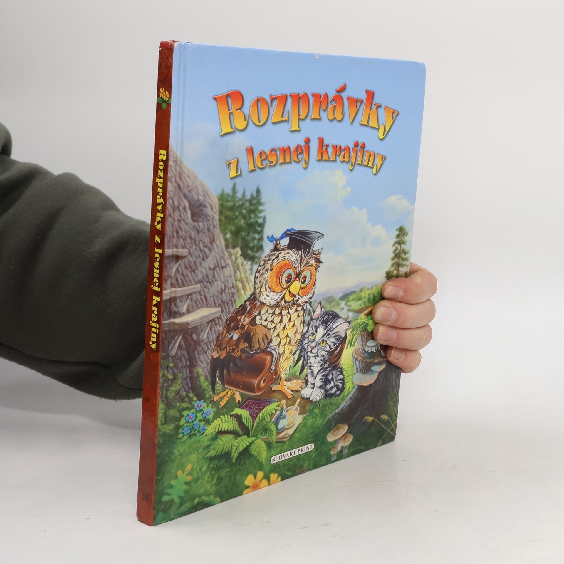 Collectif d'auteurs Rozprávky z lesnej krajiny