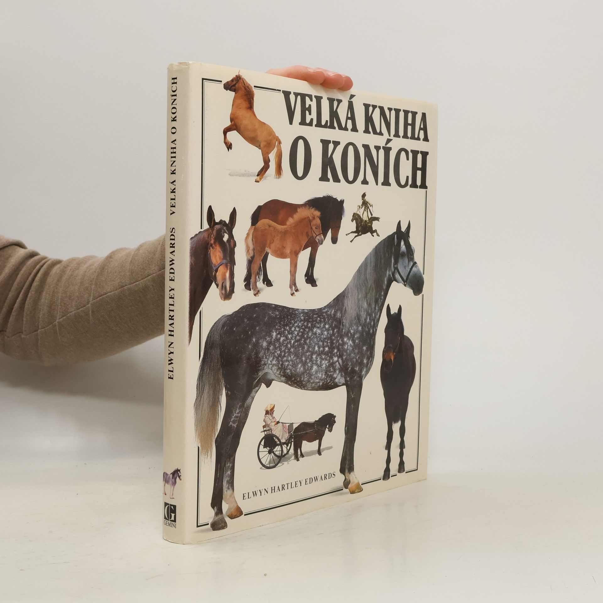 Velká kniha o koních