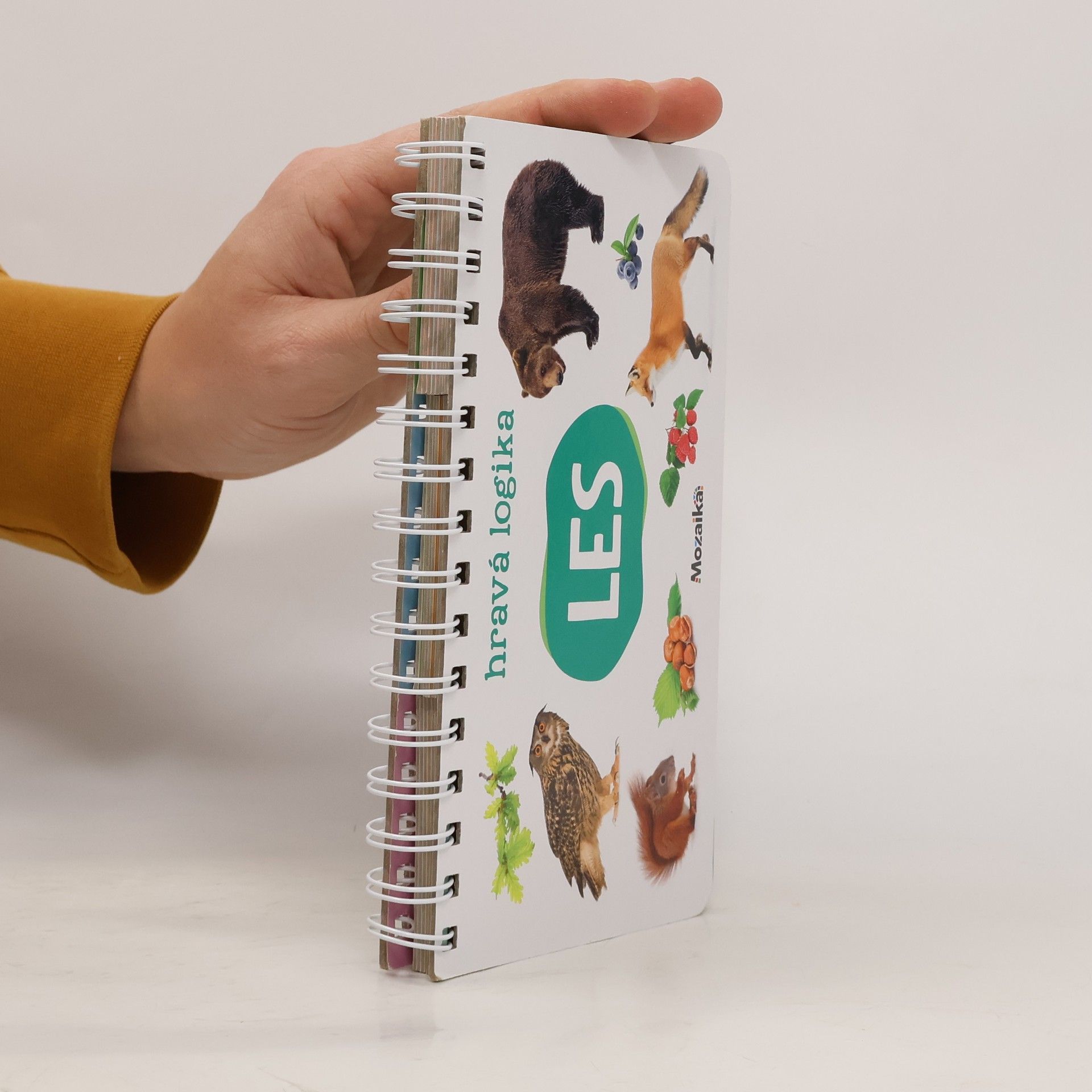 Autores varios Les : hravá logika Hravá logika - les