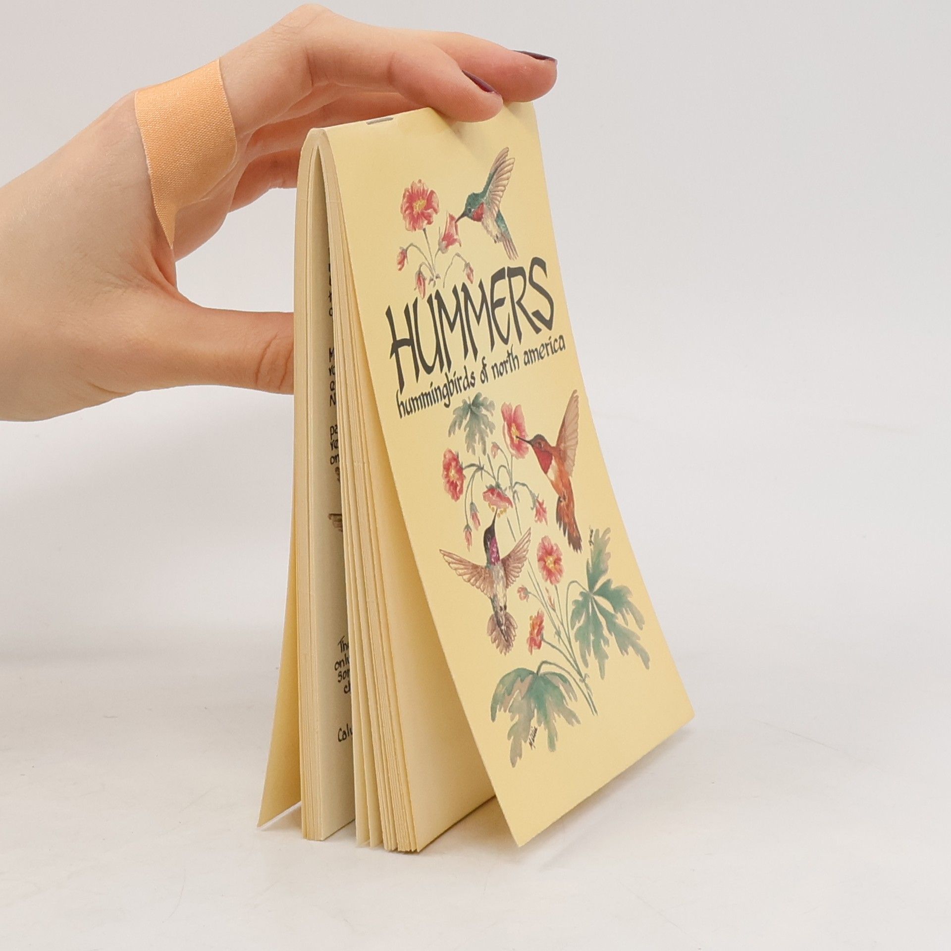 Cyndi Nelson Hummers