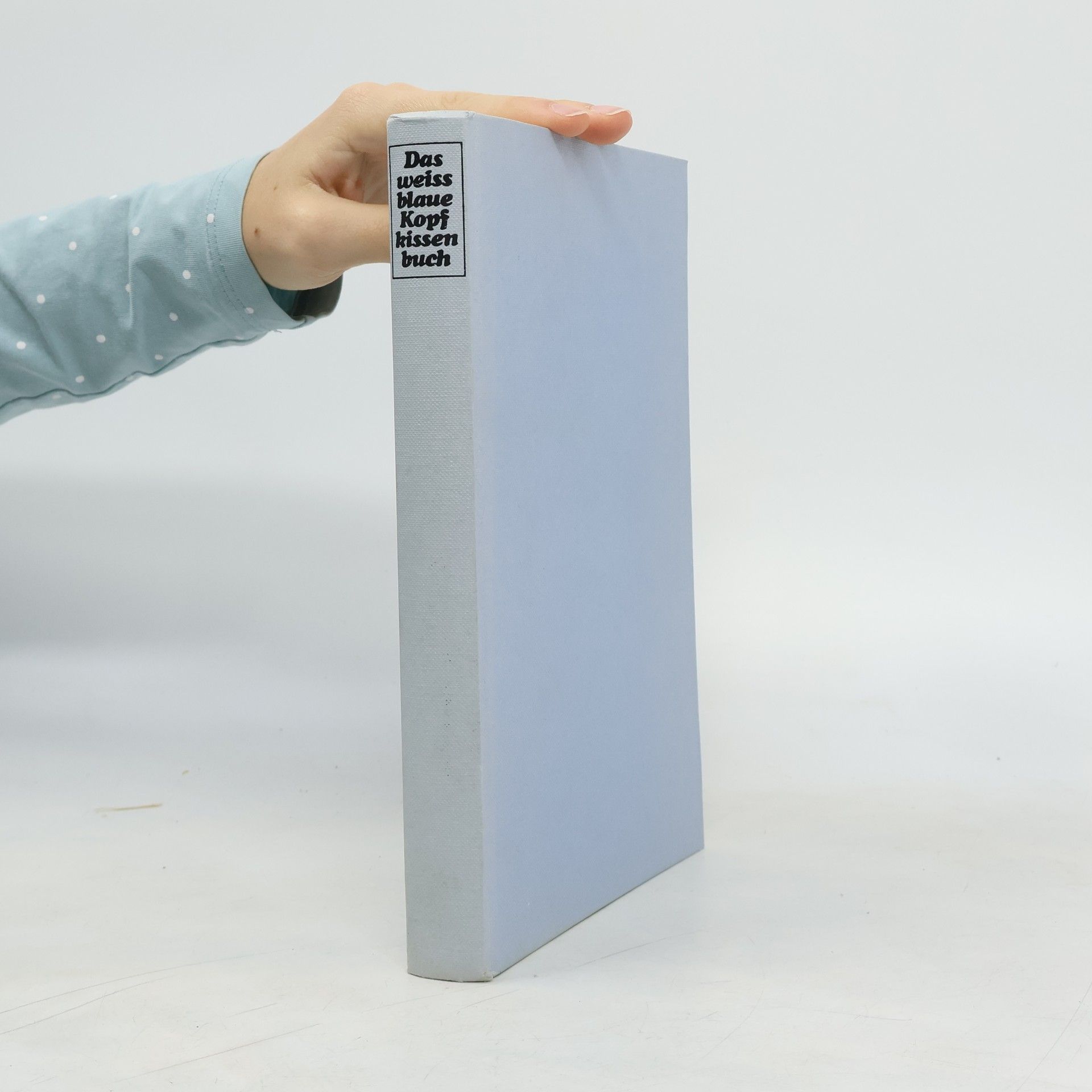 Kolektív autorov Das weiss-blaue Kopfkissenbuch