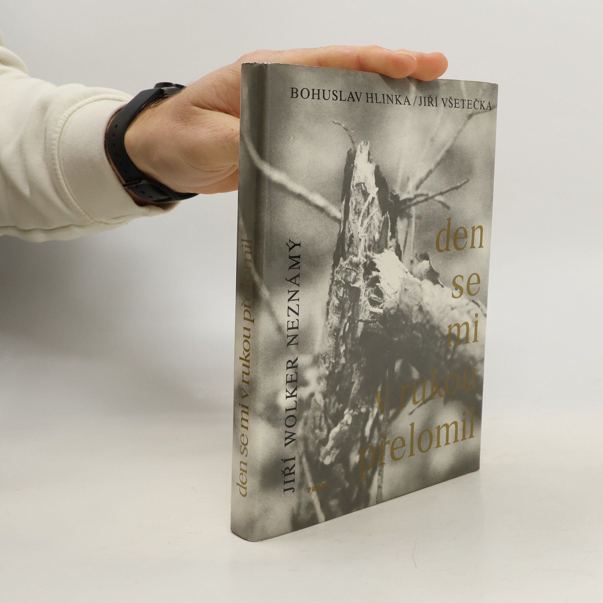 Jiří Všetečka Den se mi v rukou přelomil