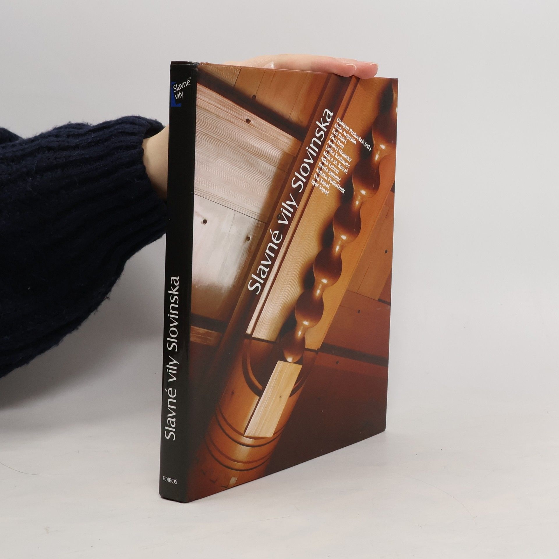 Damjan Prelovšek Slavné vily Slovinska