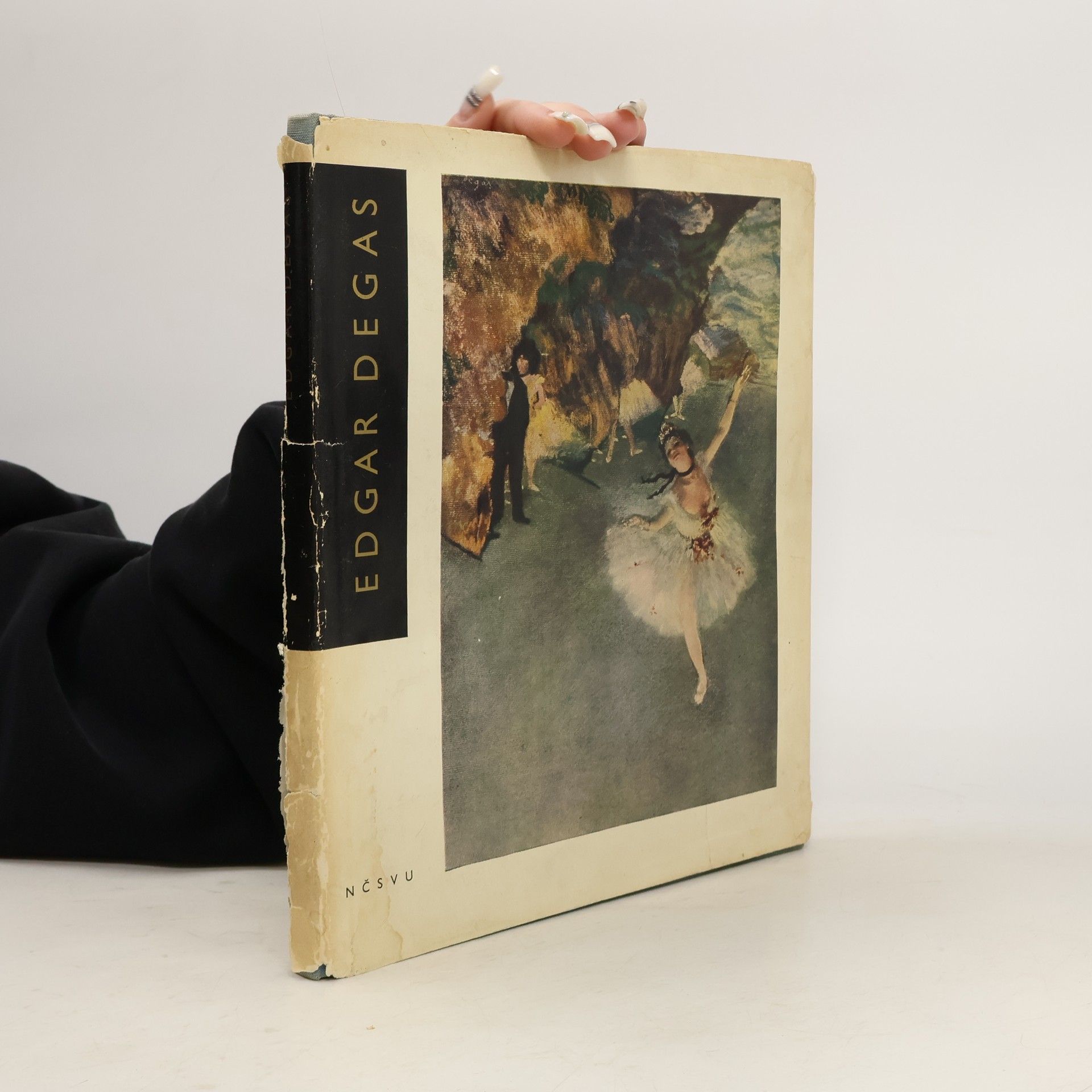 Vlastimil Fiala Edgar Degas