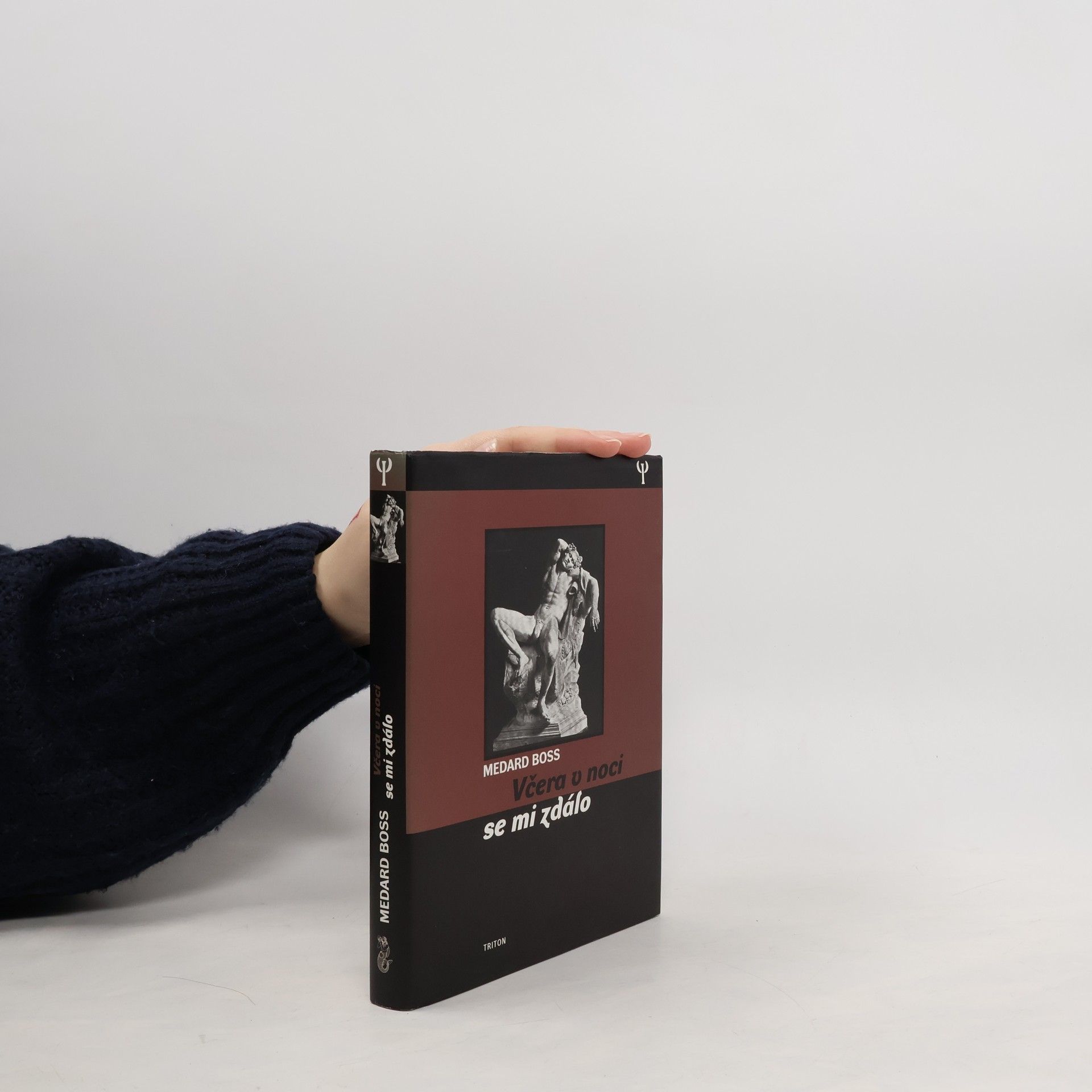 Včera v noci se mi zdálo