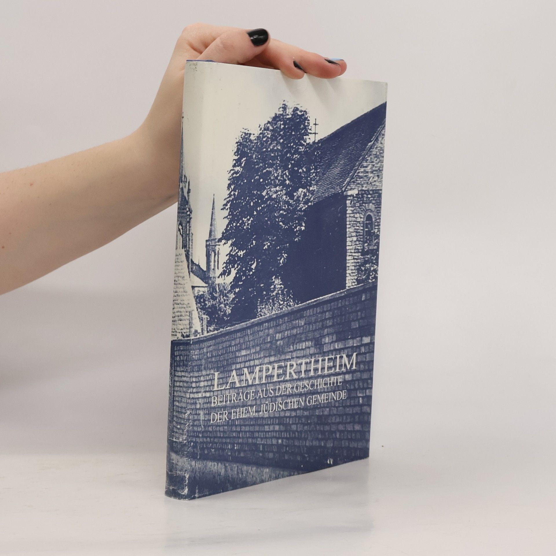 Kolektív autorov Lampertheim