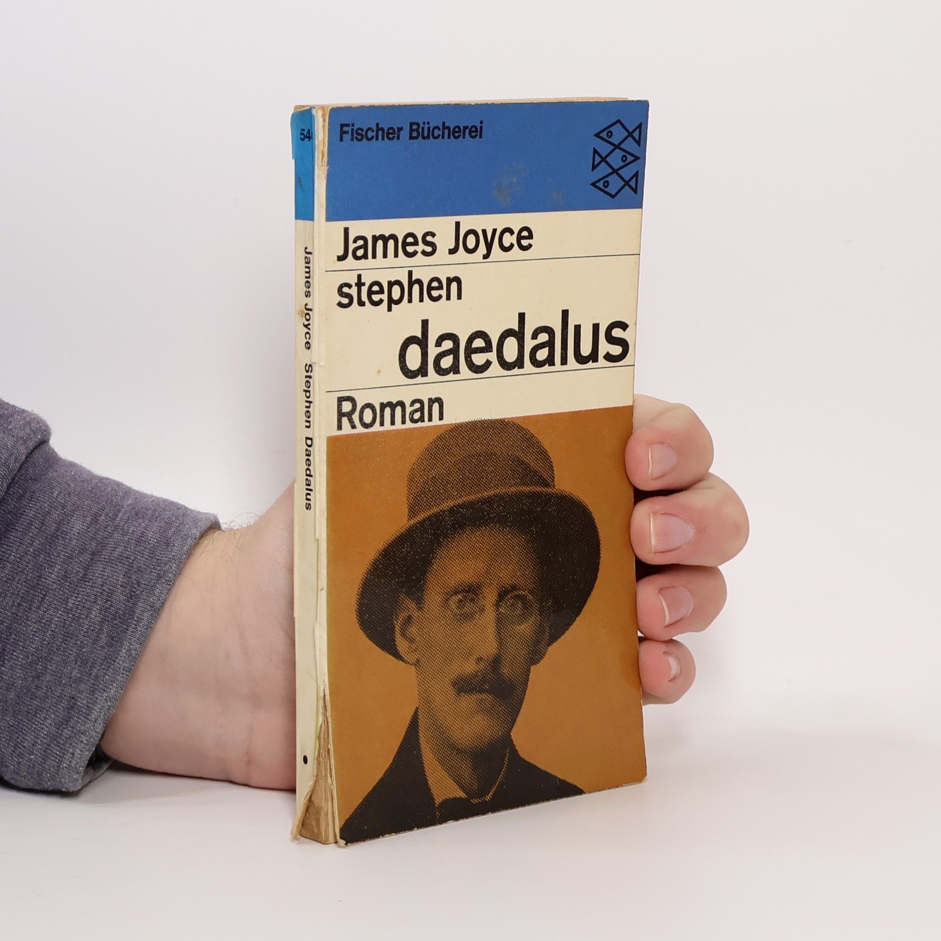 James Joyce Stephen Daedalus
